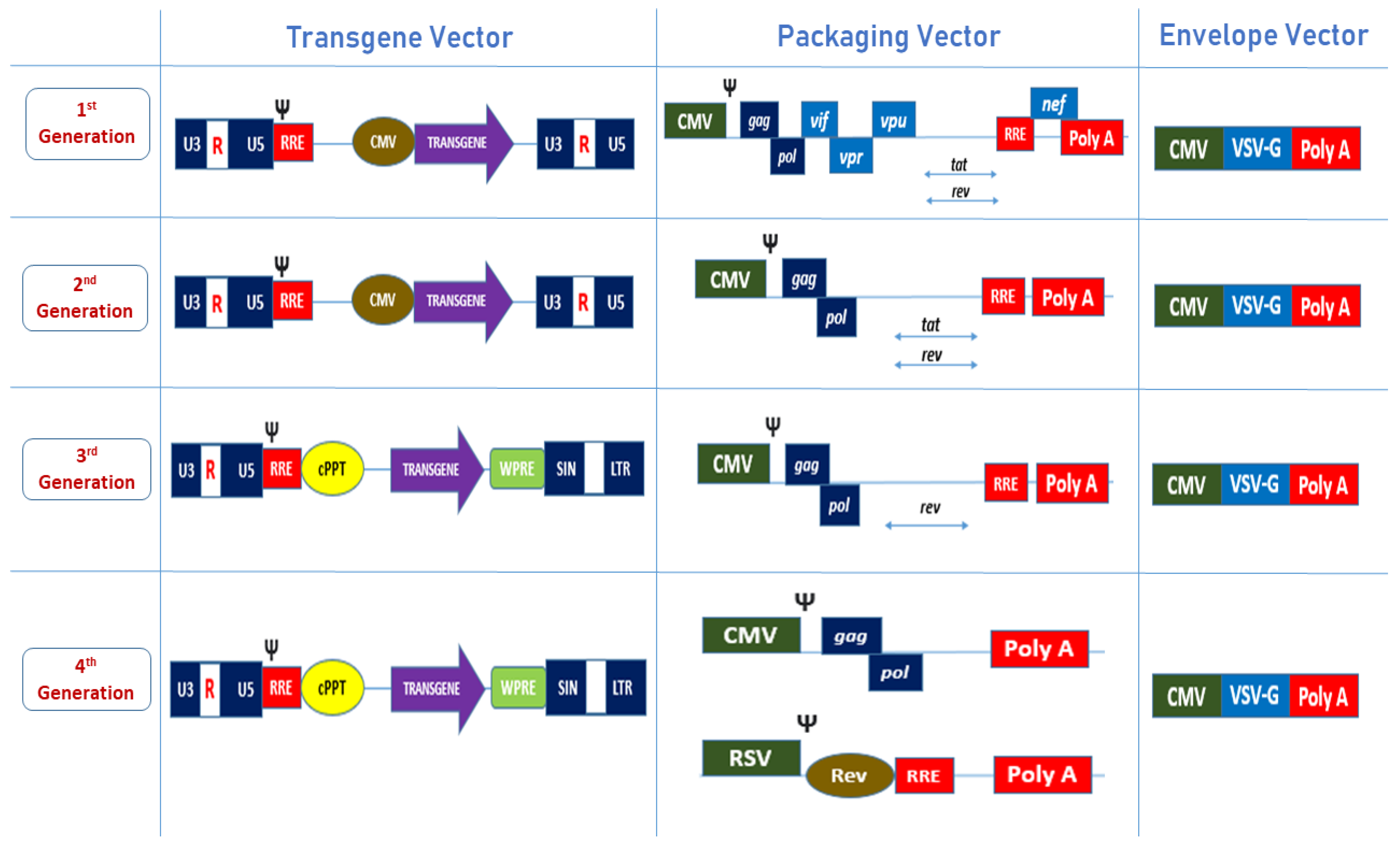 Biomedicines 10 00107 g002 Biomedicines 10 00107 g002