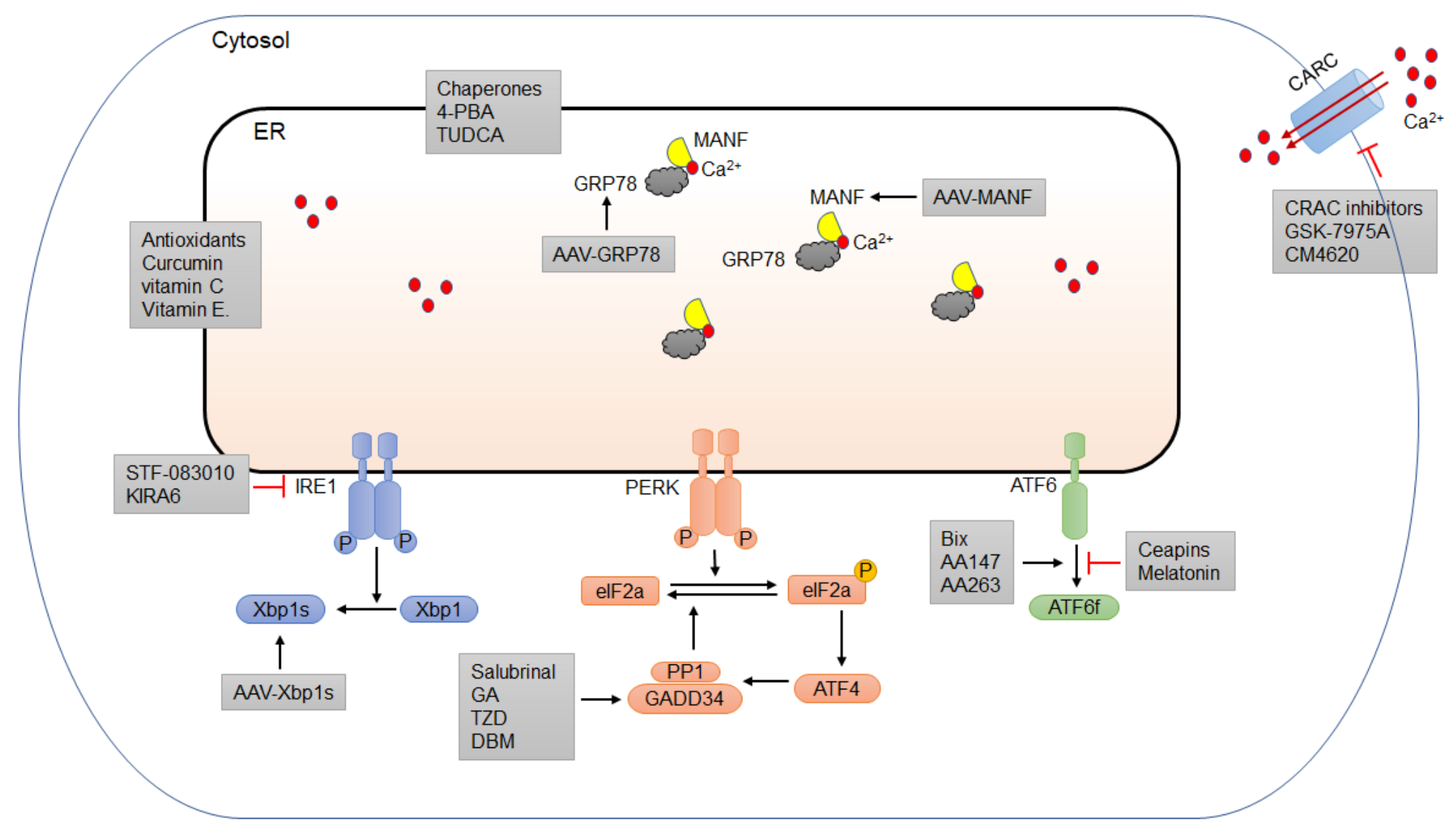 Biomedicines 10 00108 g003 Biomedicines 10 00108 g003