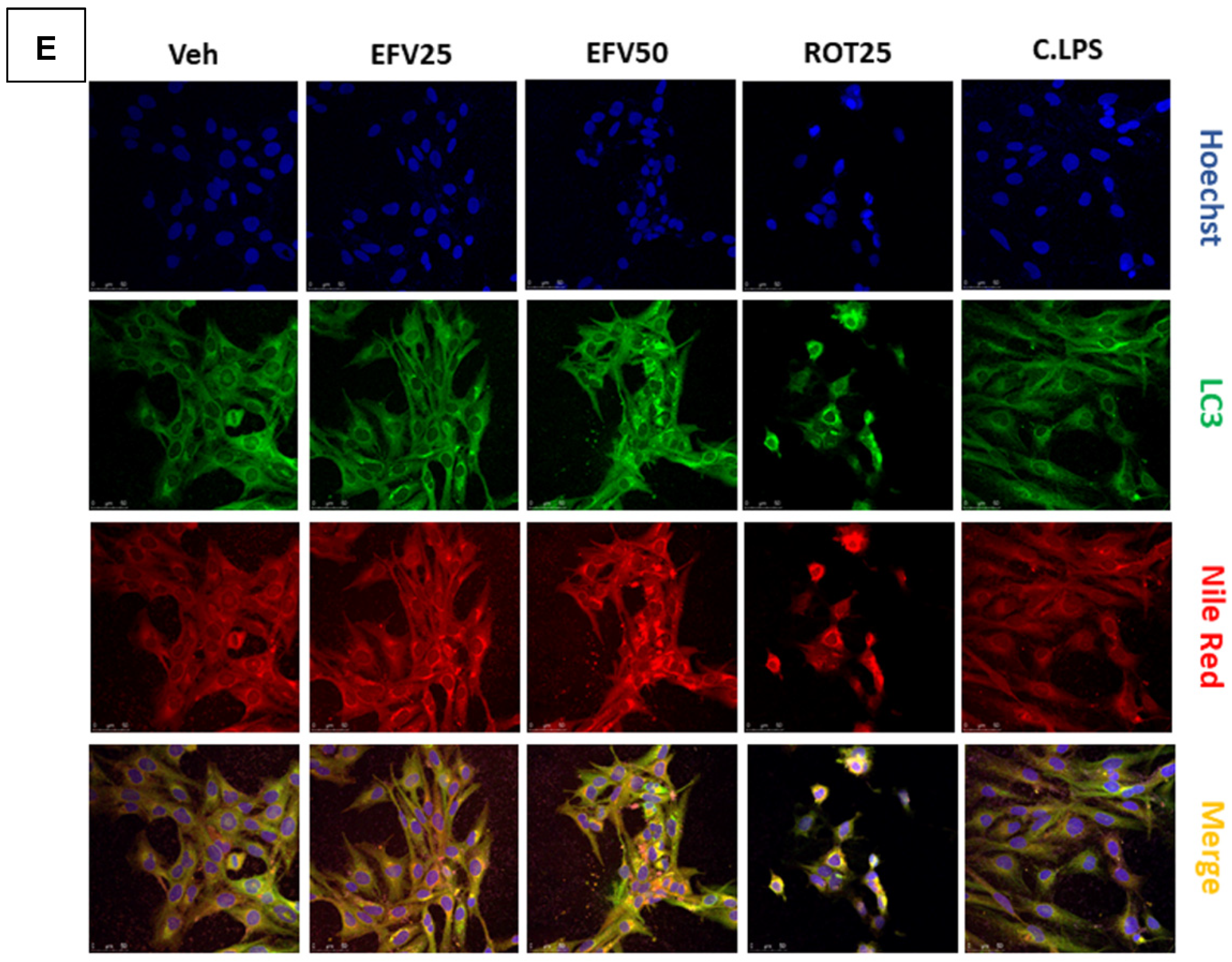 Biomedicines 10 00109 g004b 550