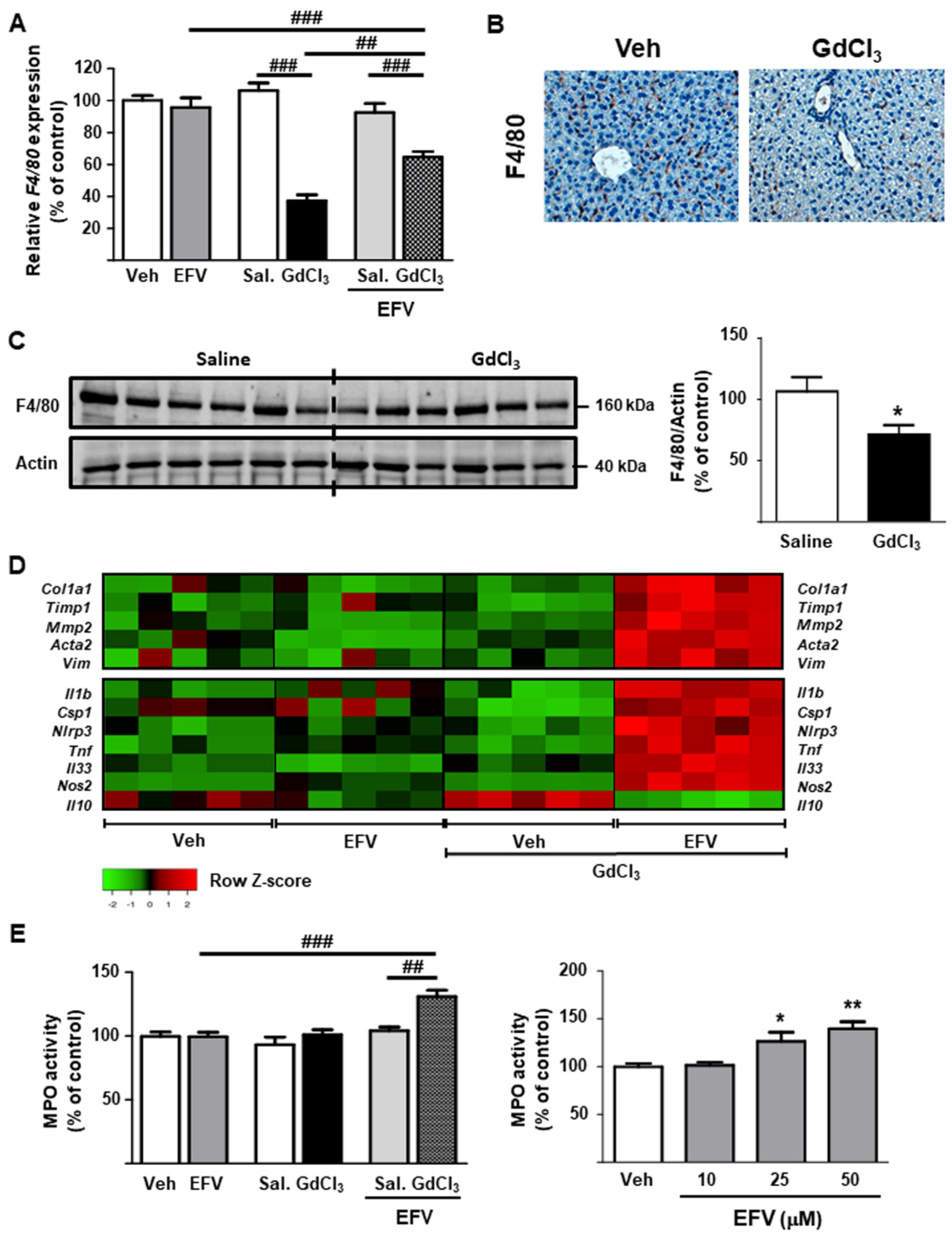 Biomedicines 10 00109 g008 550