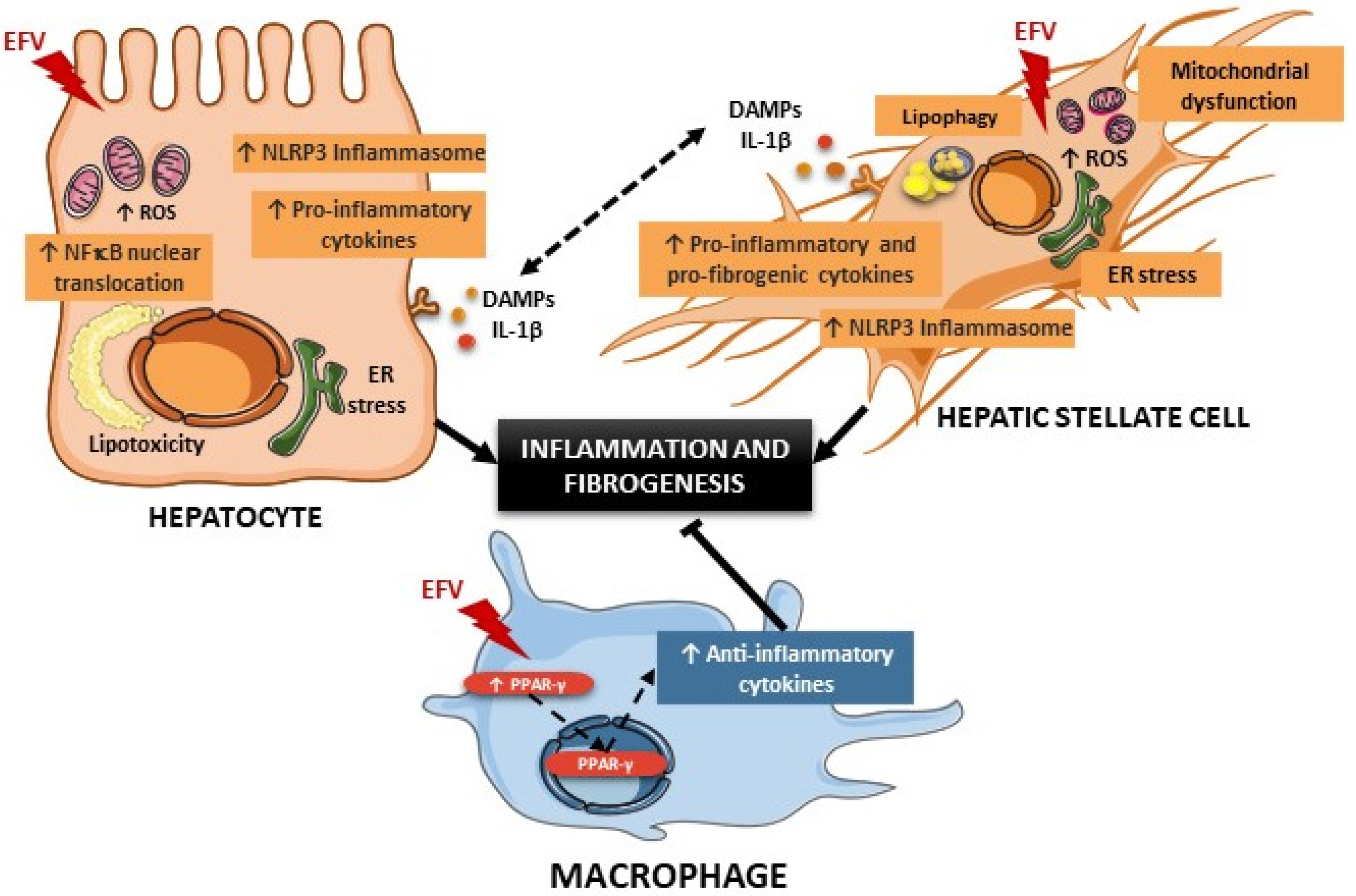 Biomedicines 10 00109 g009 550