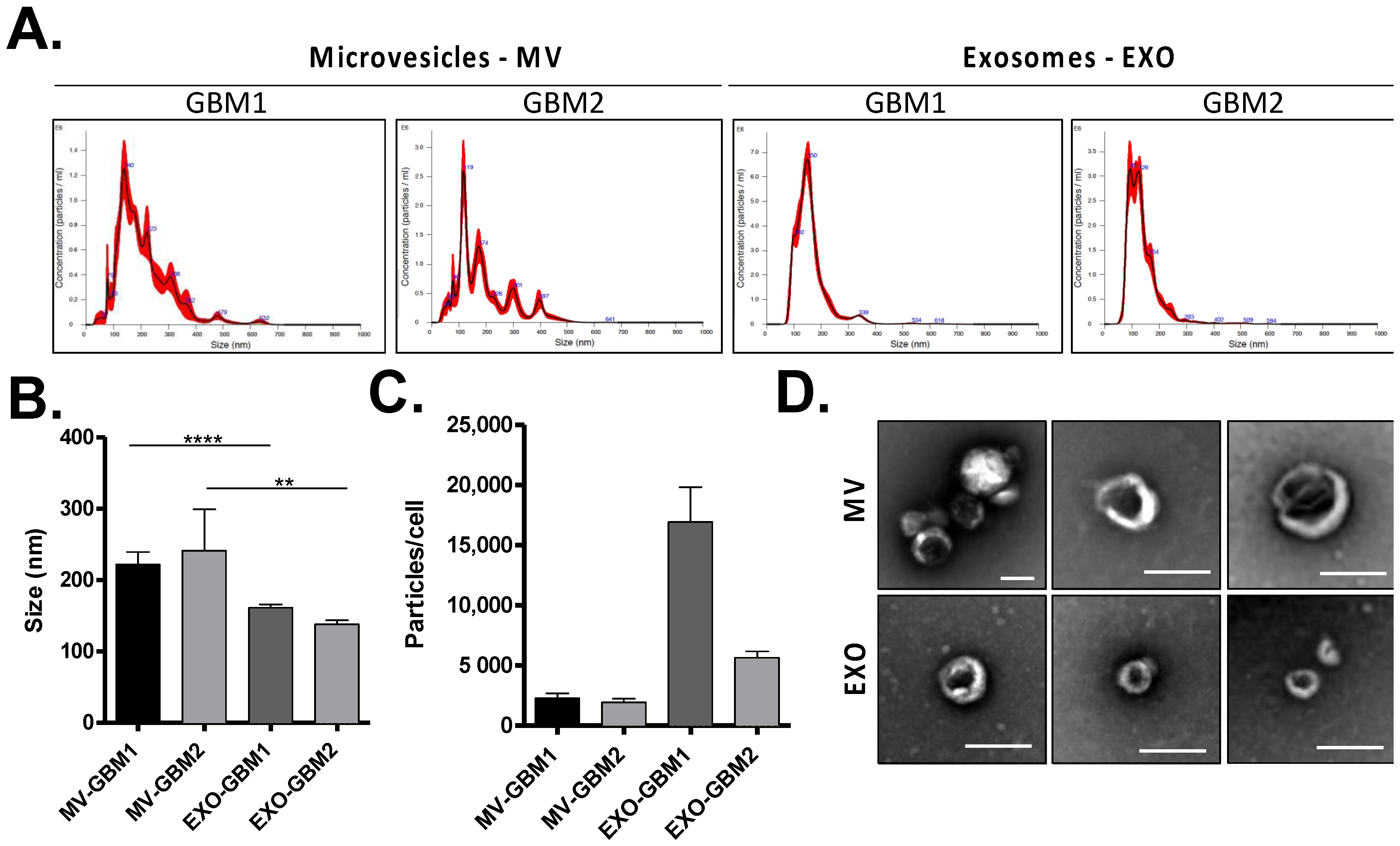 Biomedicines 10 00112 g001