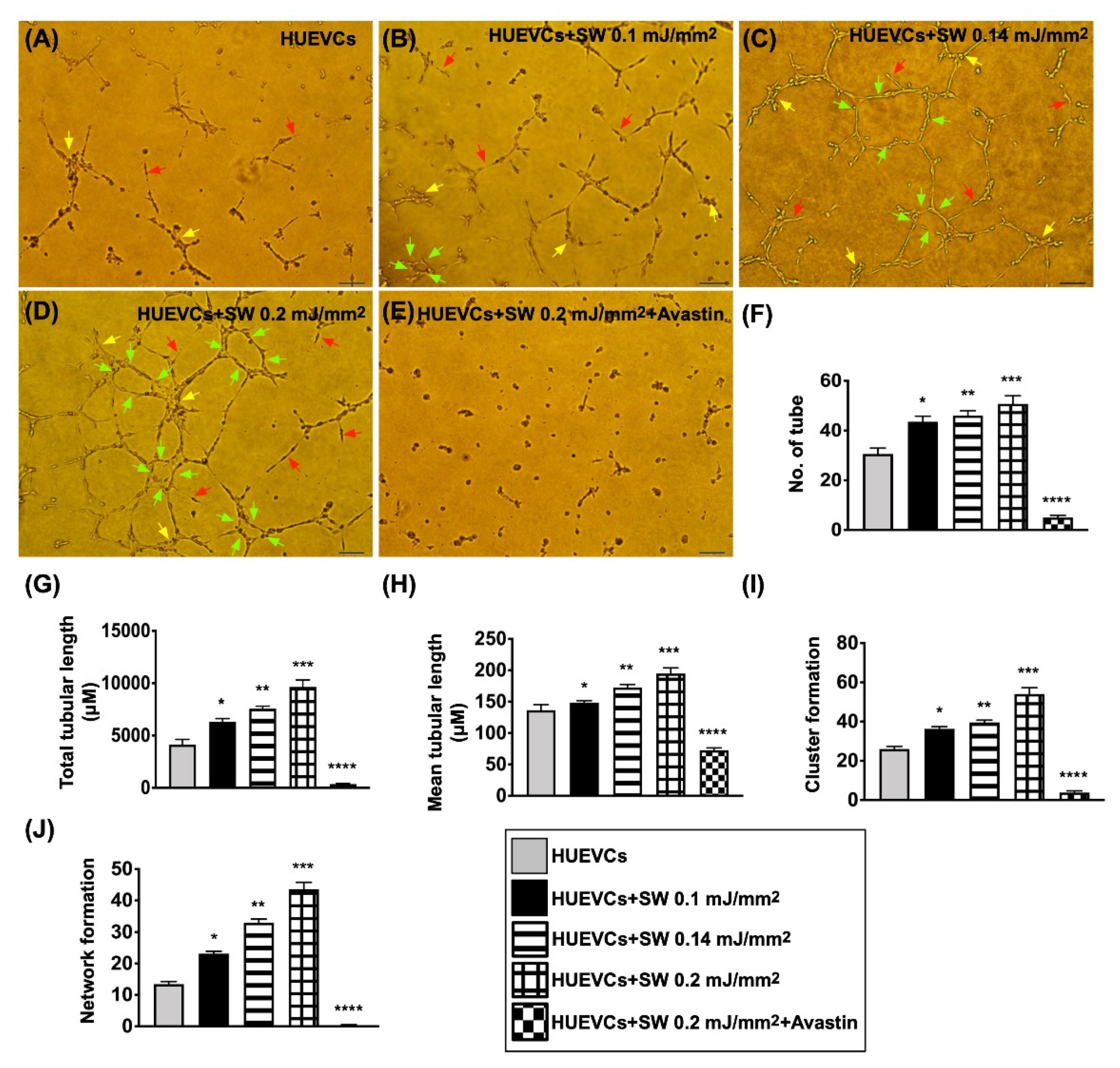 Biomedicines 10 00117 g001 Biomedicines 10 00117 g001