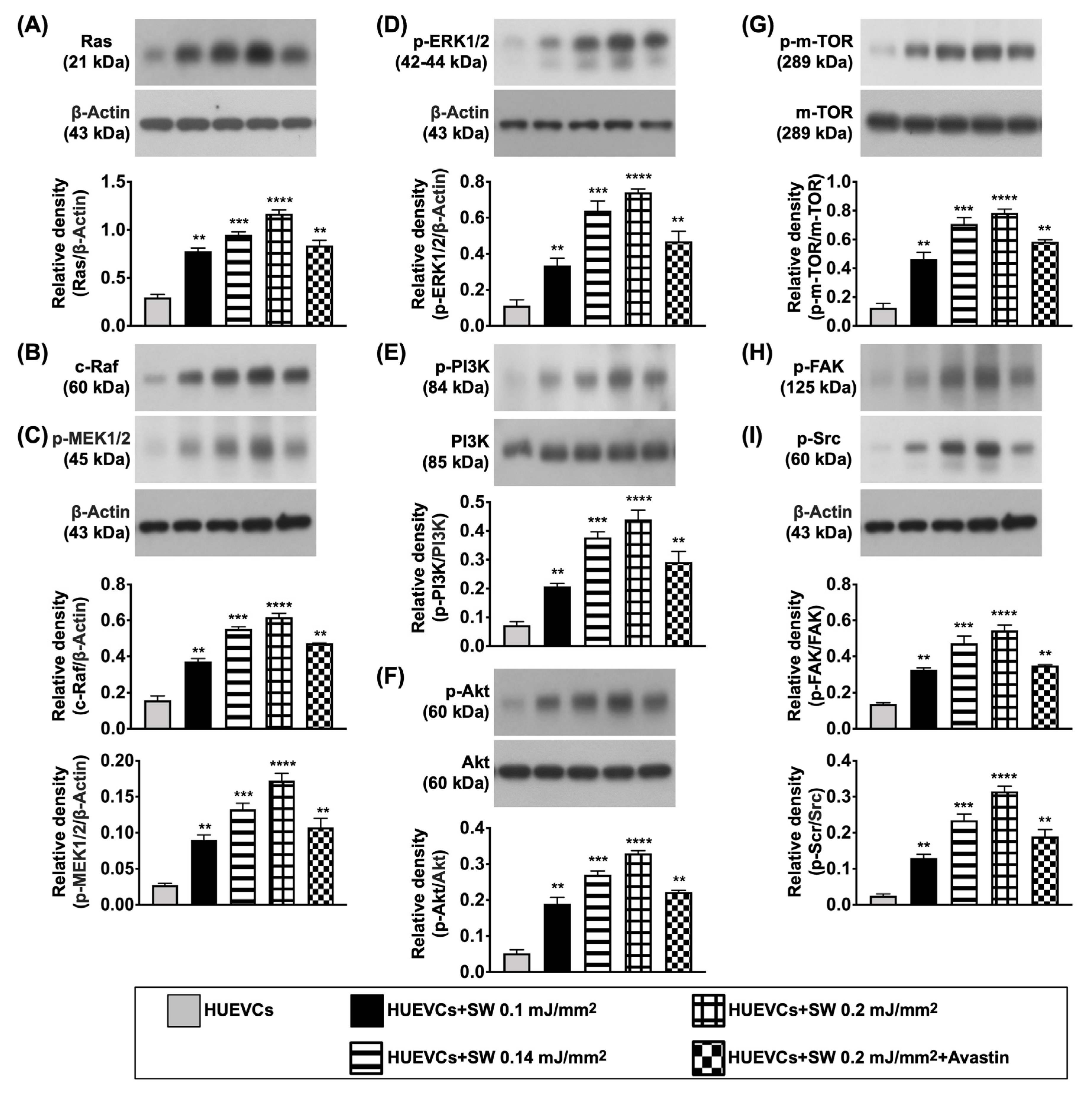 Biomedicines 10 00117 g003 Biomedicines 10 00117 g003