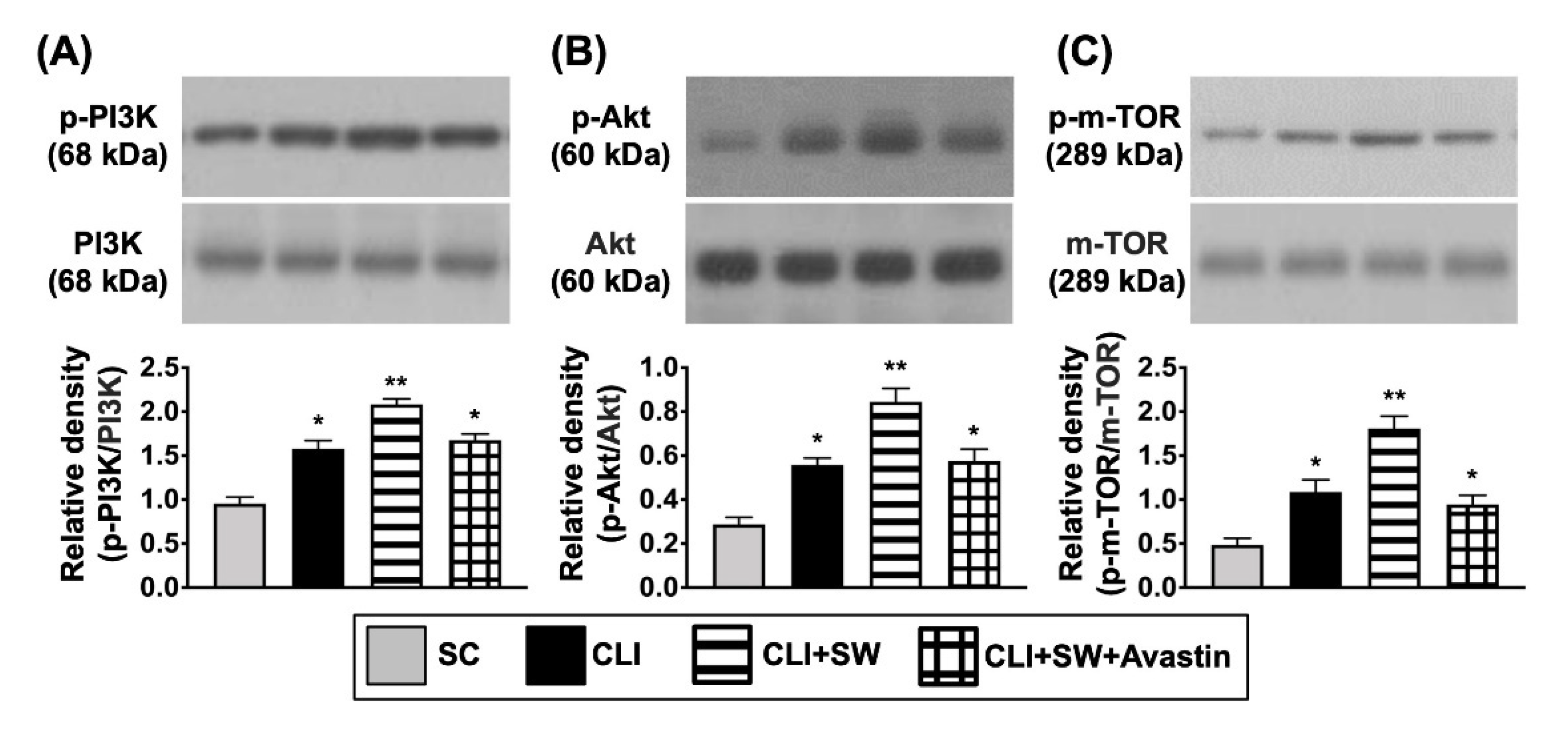 Biomedicines 10 00117 g007 Biomedicines 10 00117 g007