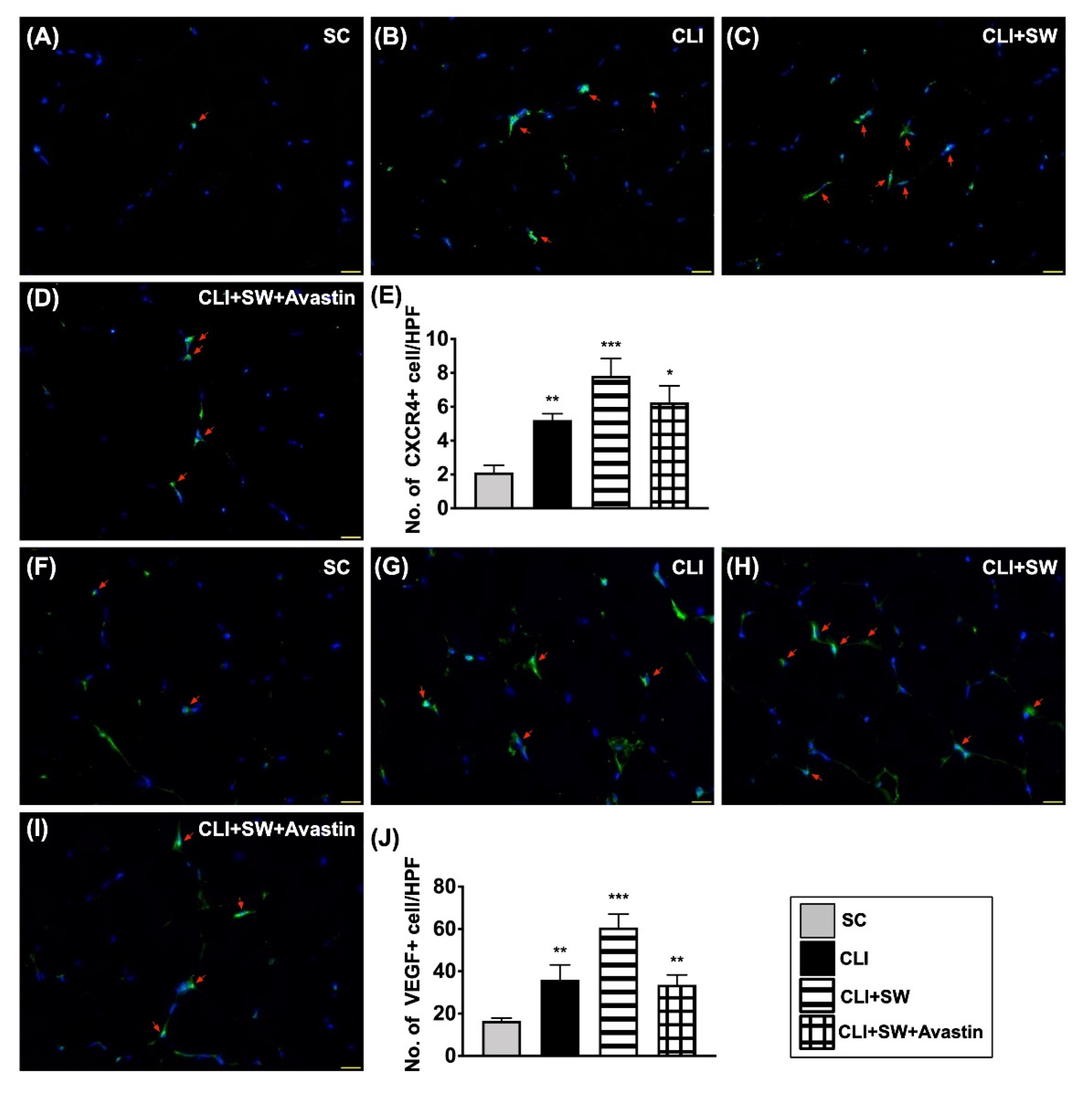 Biomedicines 10 00117 g008 Biomedicines 10 00117 g008