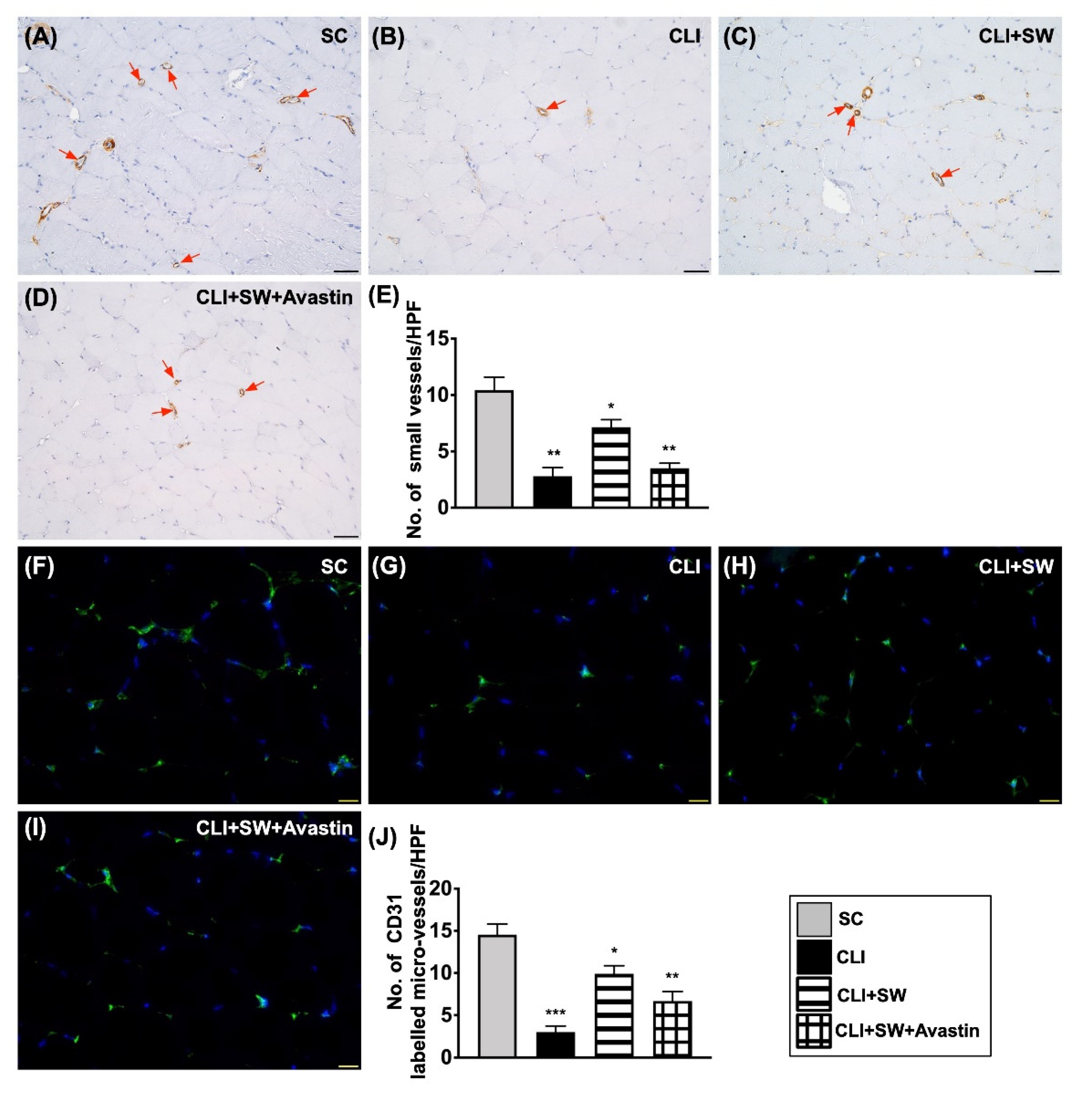 Biomedicines 10 00117 g009 Biomedicines 10 00117 g009