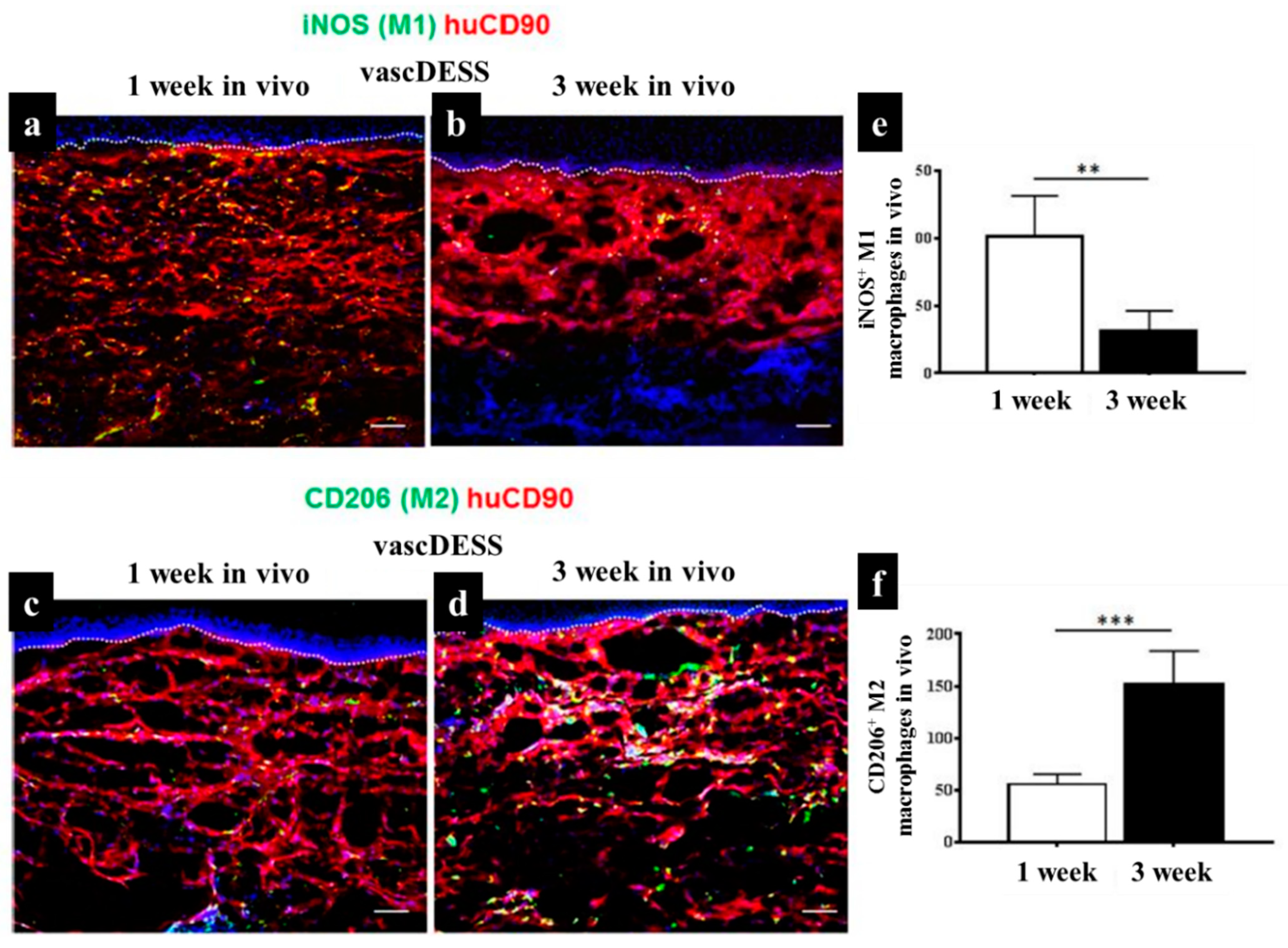 Biomedicines 10 00118 g007