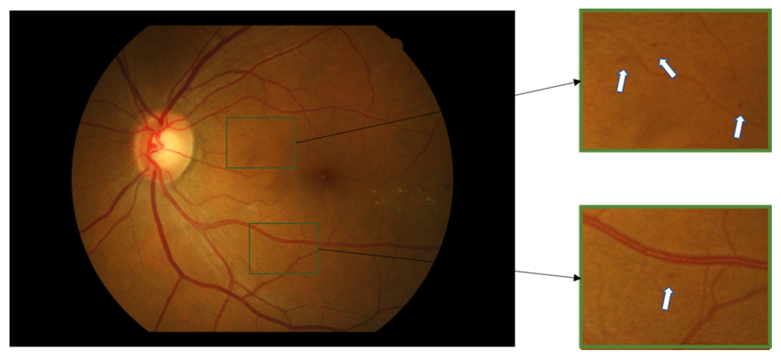 Biomedicines 10 00124 g001 550