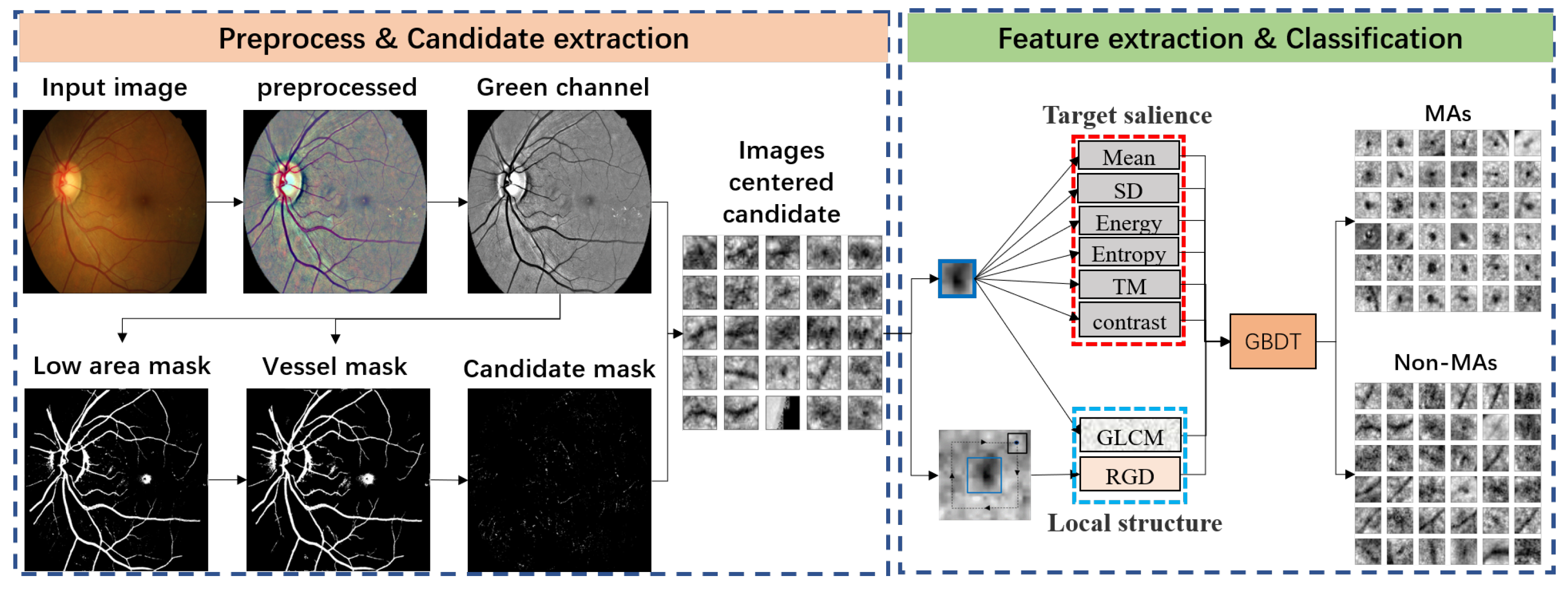 Biomedicines 10 00124 g002 550