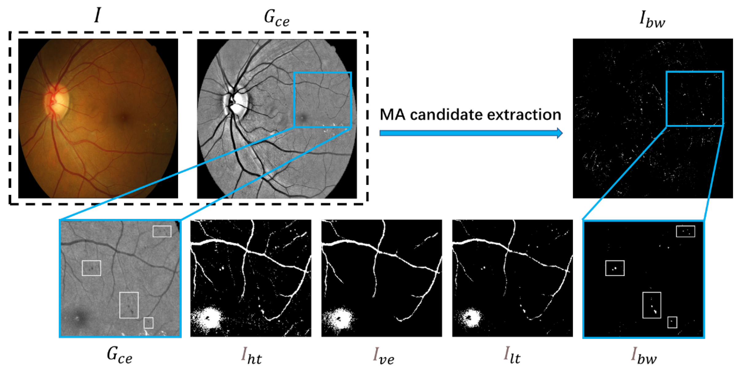 Biomedicines 10 00124 g004 550