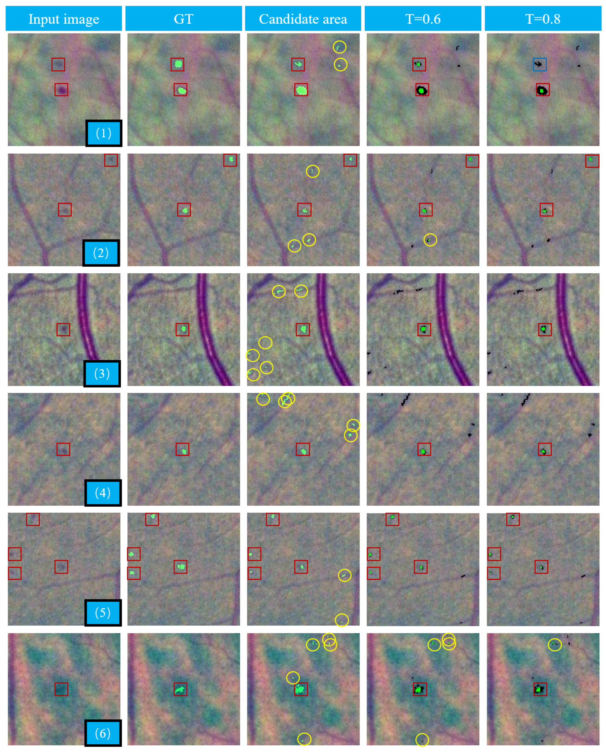 Biomedicines 10 00124 g010 550