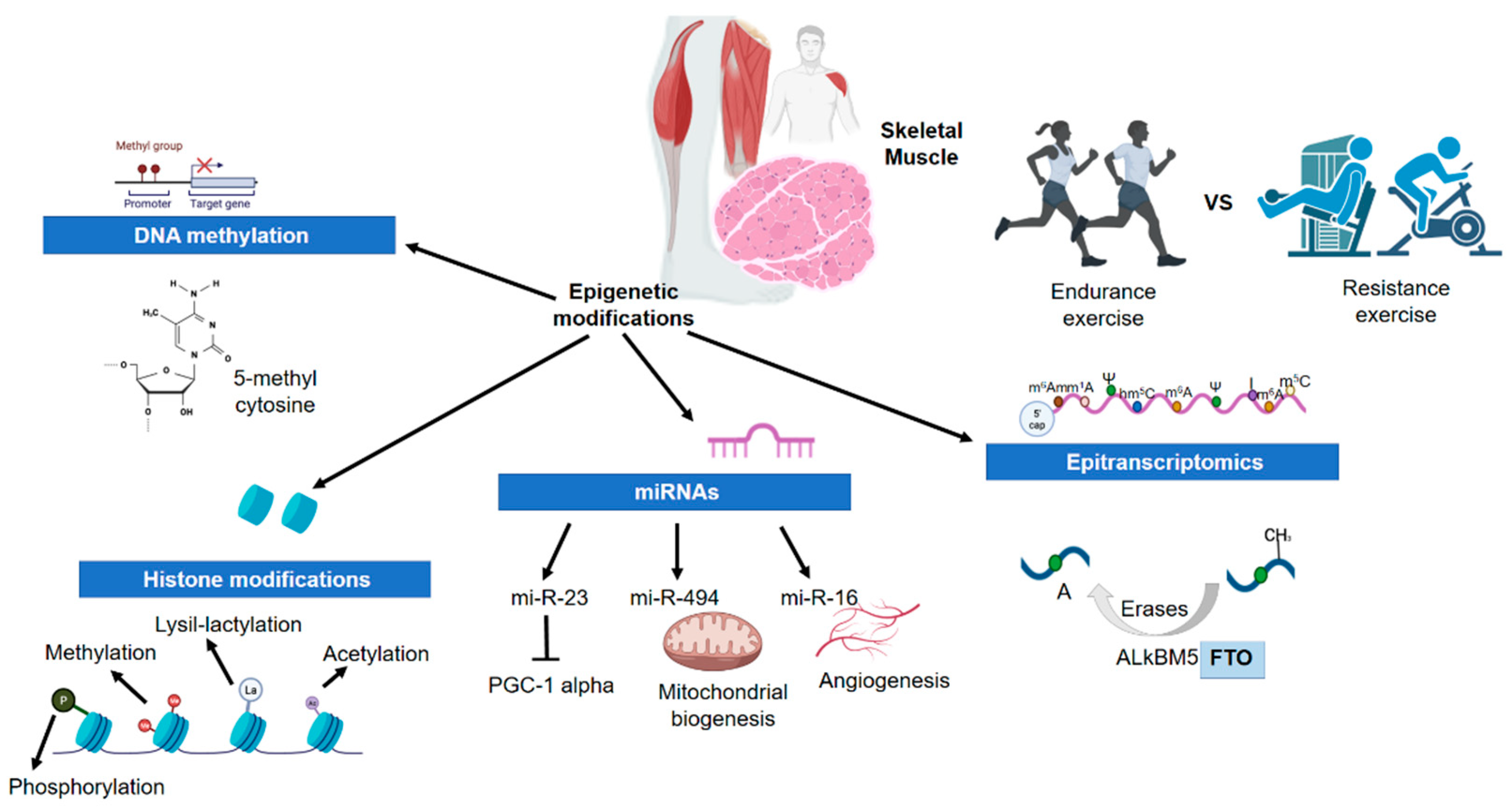 Biomedicines 10 00126 g001 Biomedicines 10 00126 g001