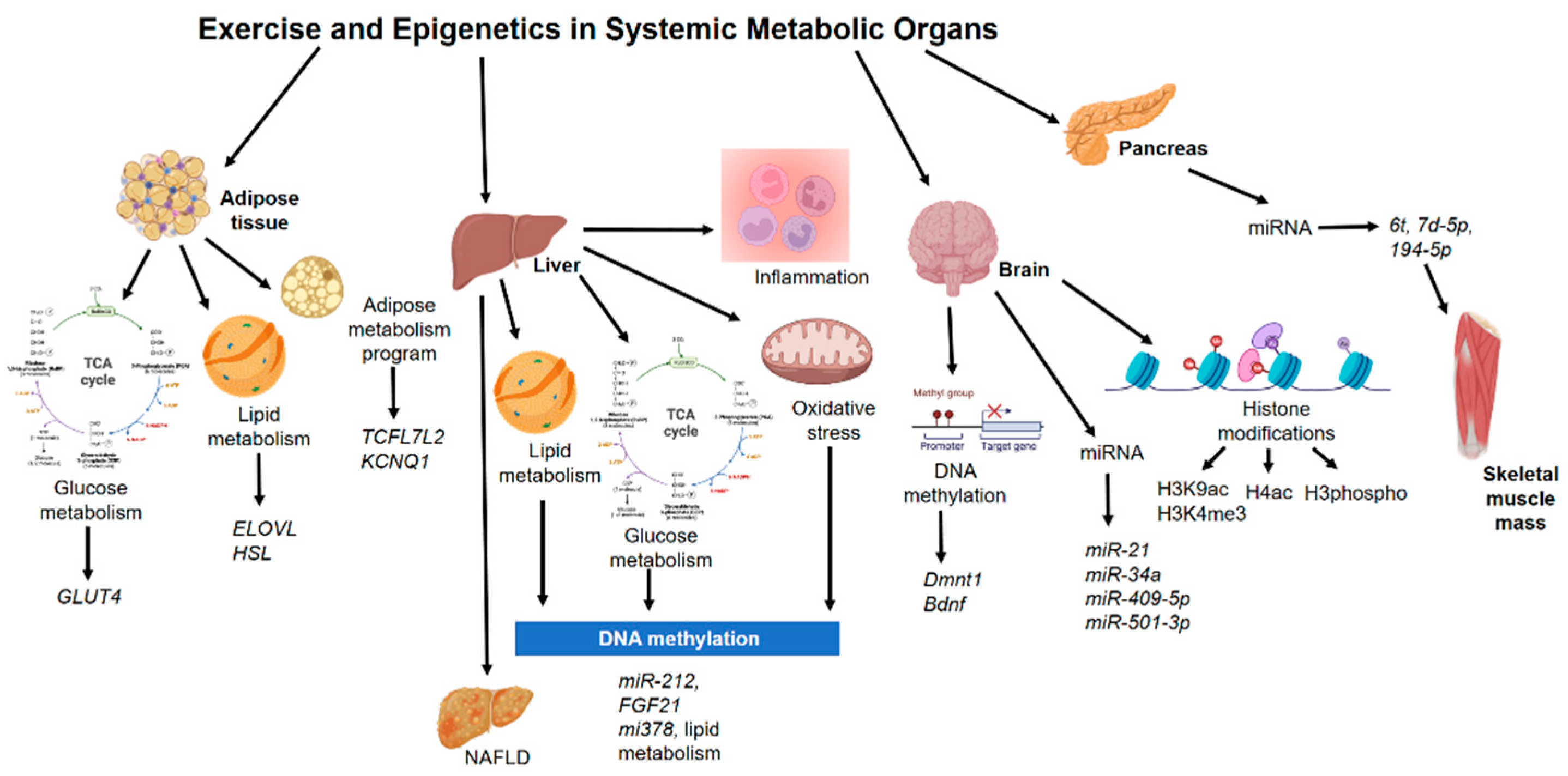 Biomedicines 10 00126 g002 Biomedicines 10 00126 g002