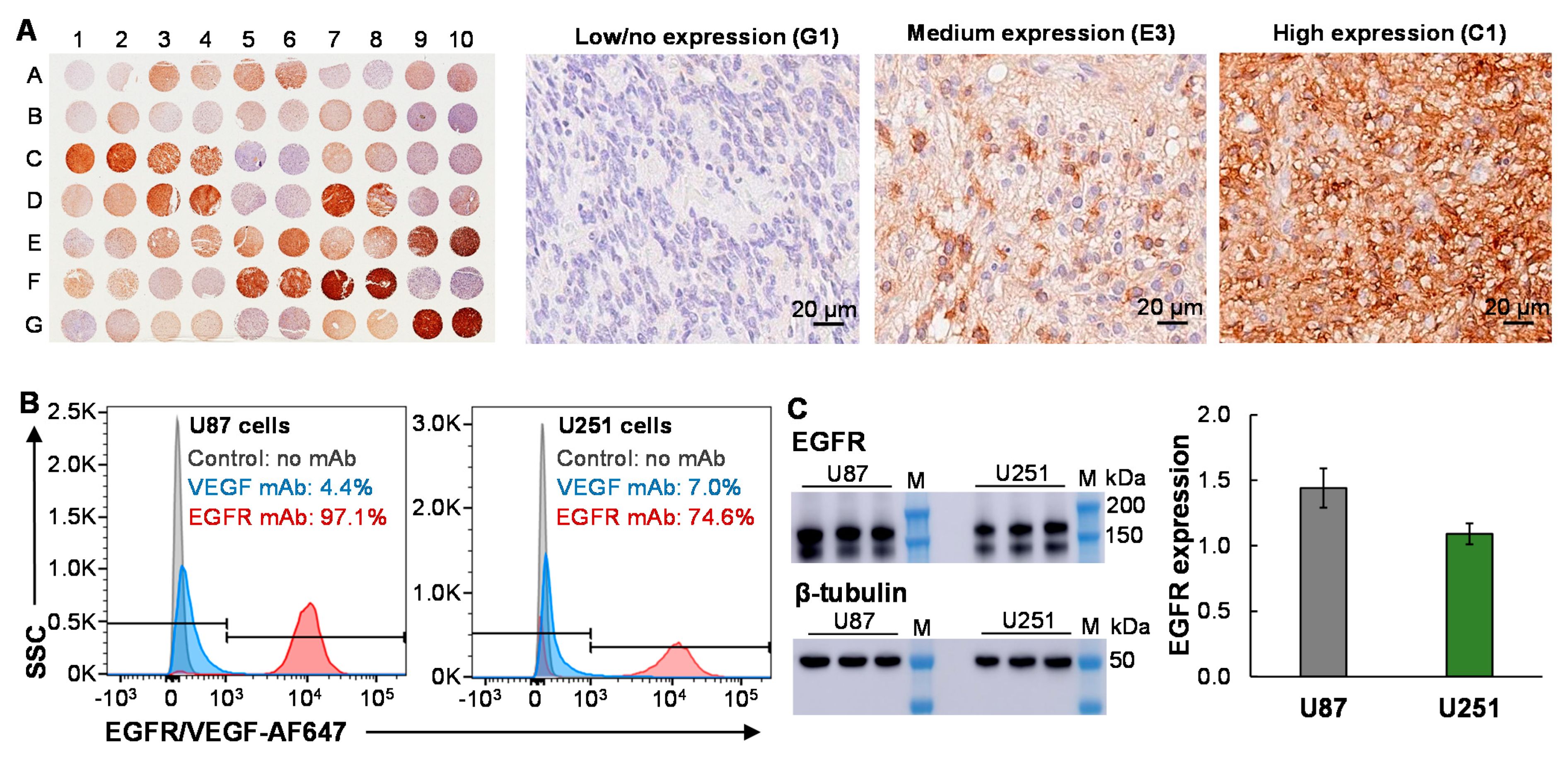 Biomedicines 10 00130 g001 Biomedicines 10 00130 g001