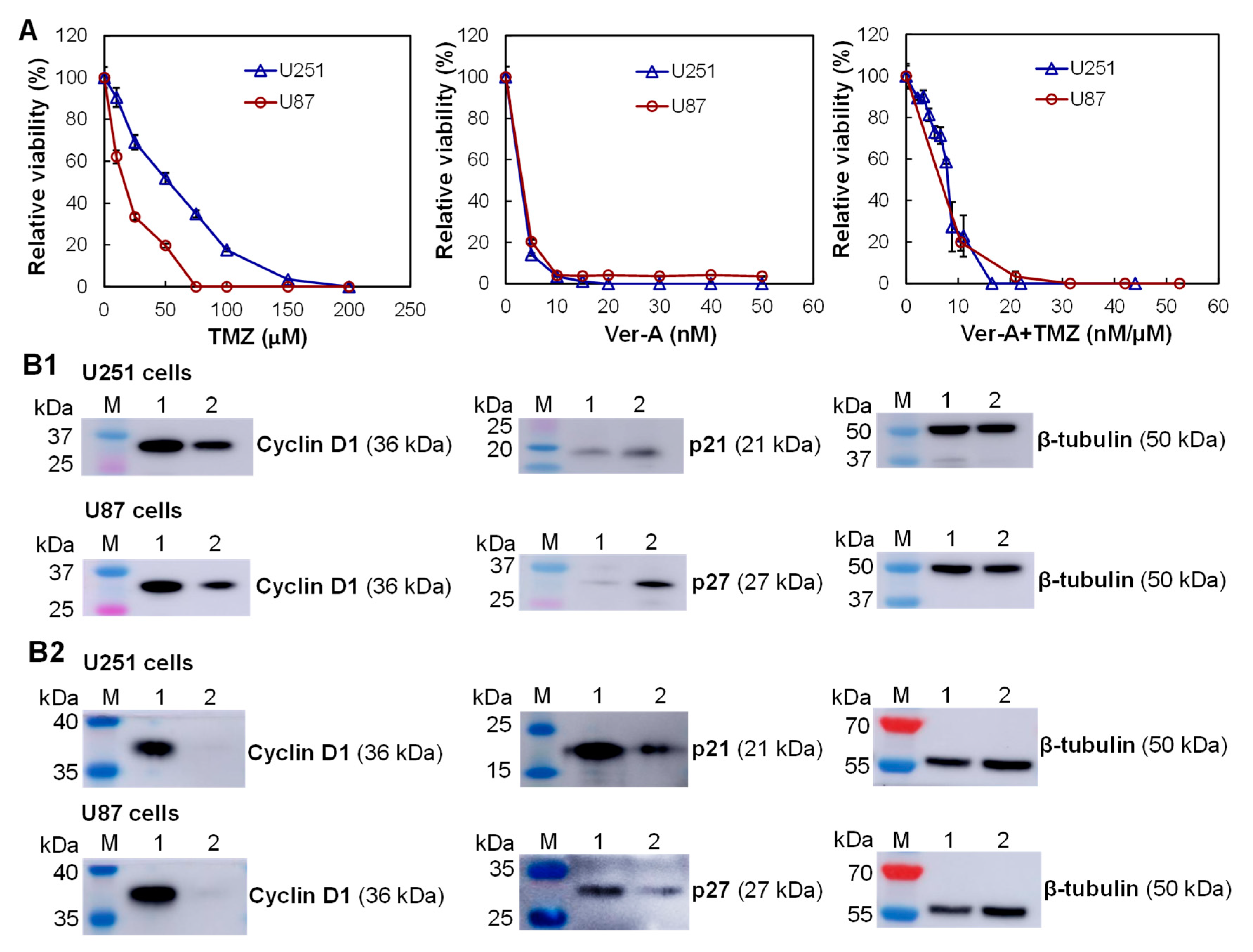 Biomedicines 10 00130 g004 Biomedicines 10 00130 g004