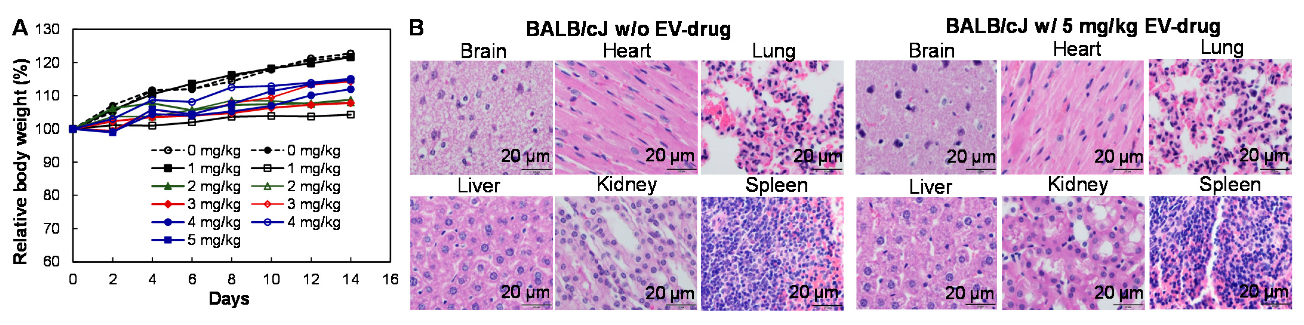 Biomedicines 10 00130 g005 Biomedicines 10 00130 g005
