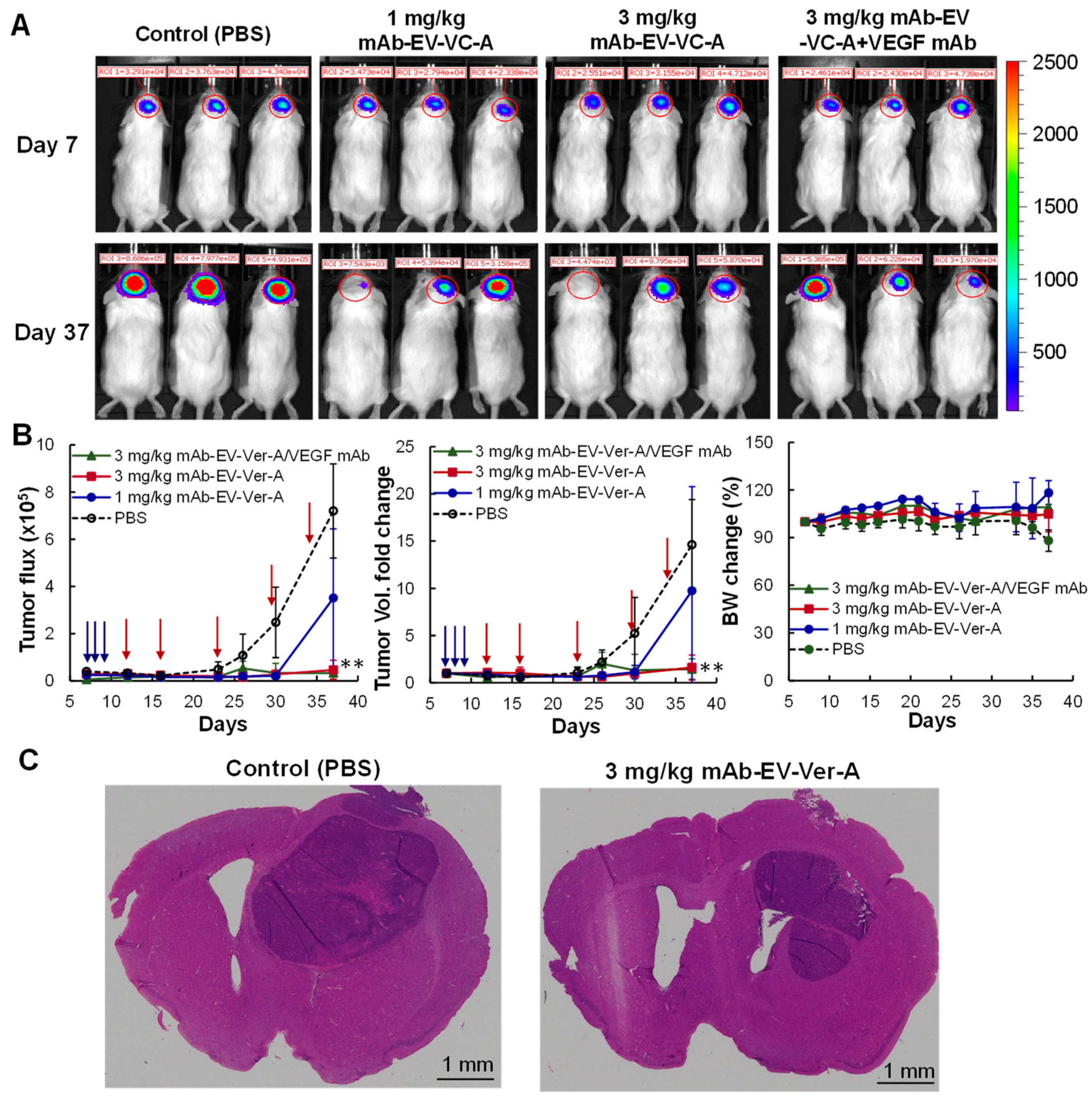 Biomedicines 10 00130 g006 Biomedicines 10 00130 g006