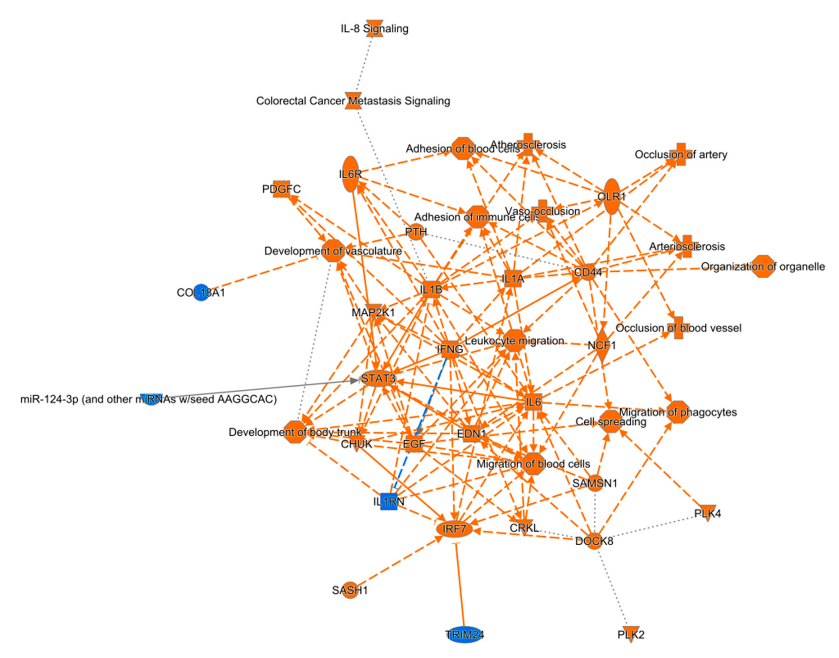 Biomedicines 10 00136 g003