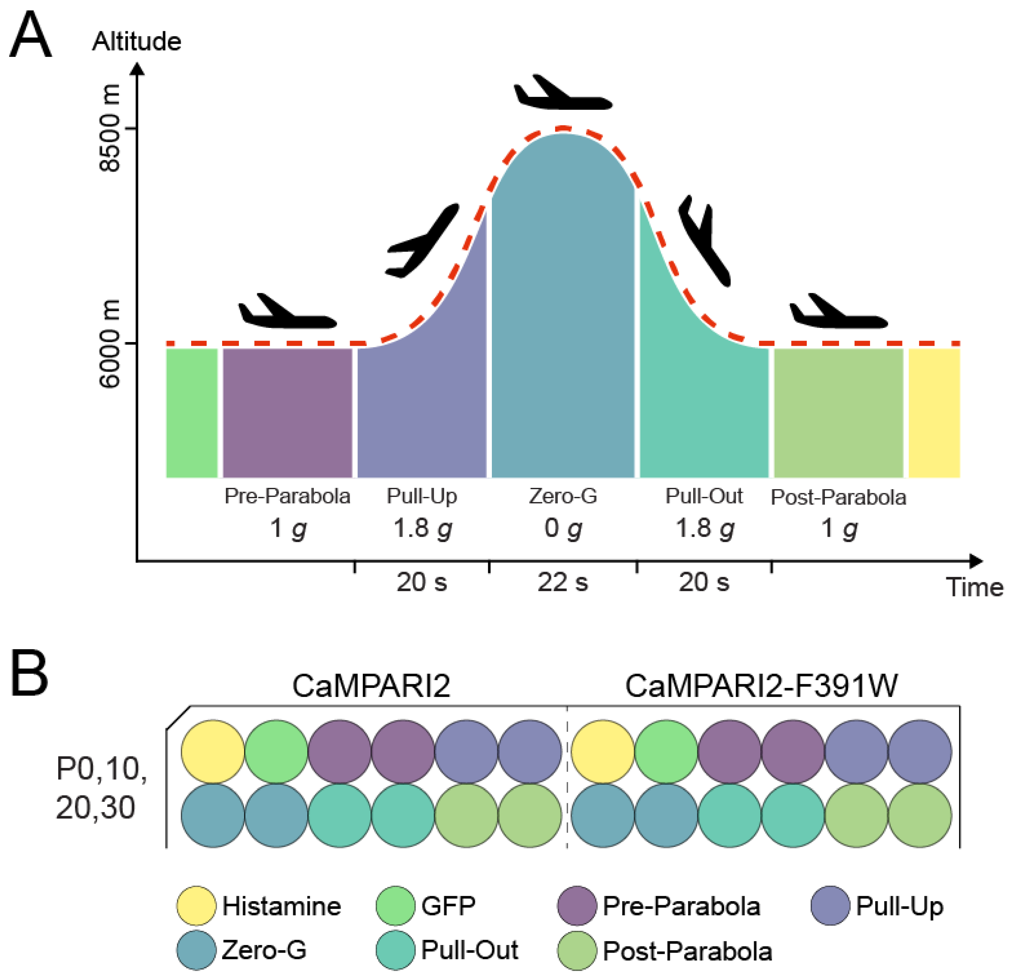 Biomedicines 10 00138 g001