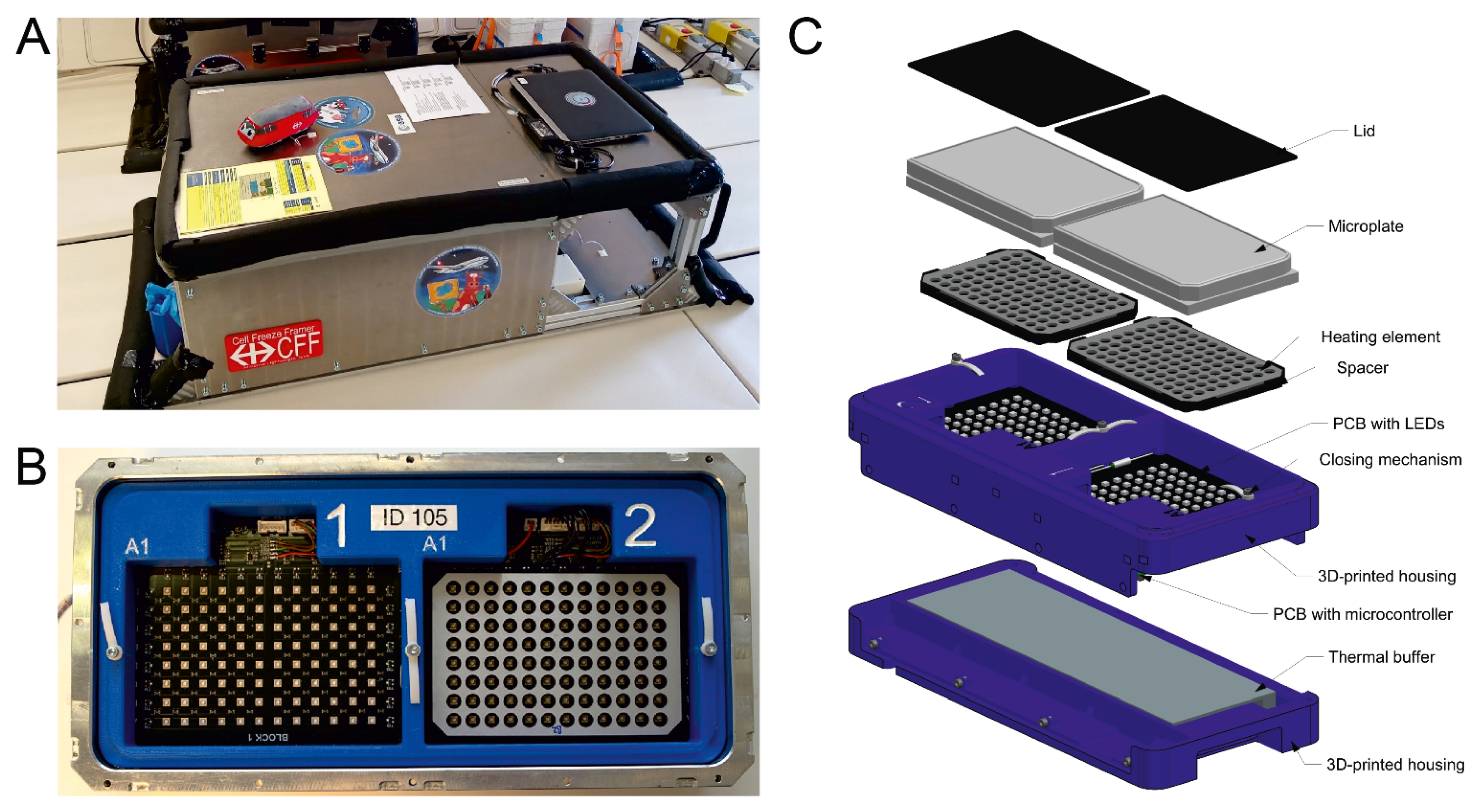 Biomedicines 10 00138 g002