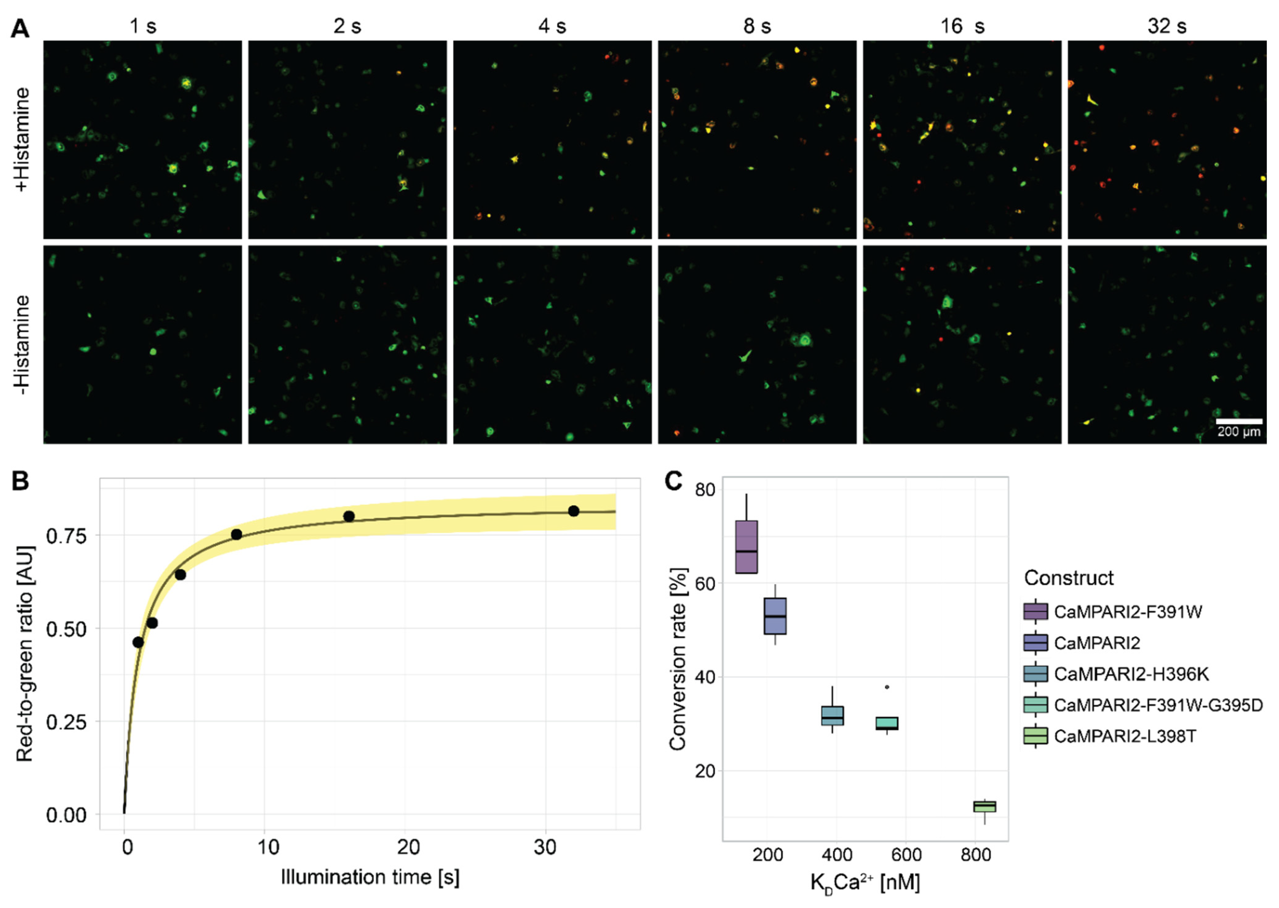 Biomedicines 10 00138 g003