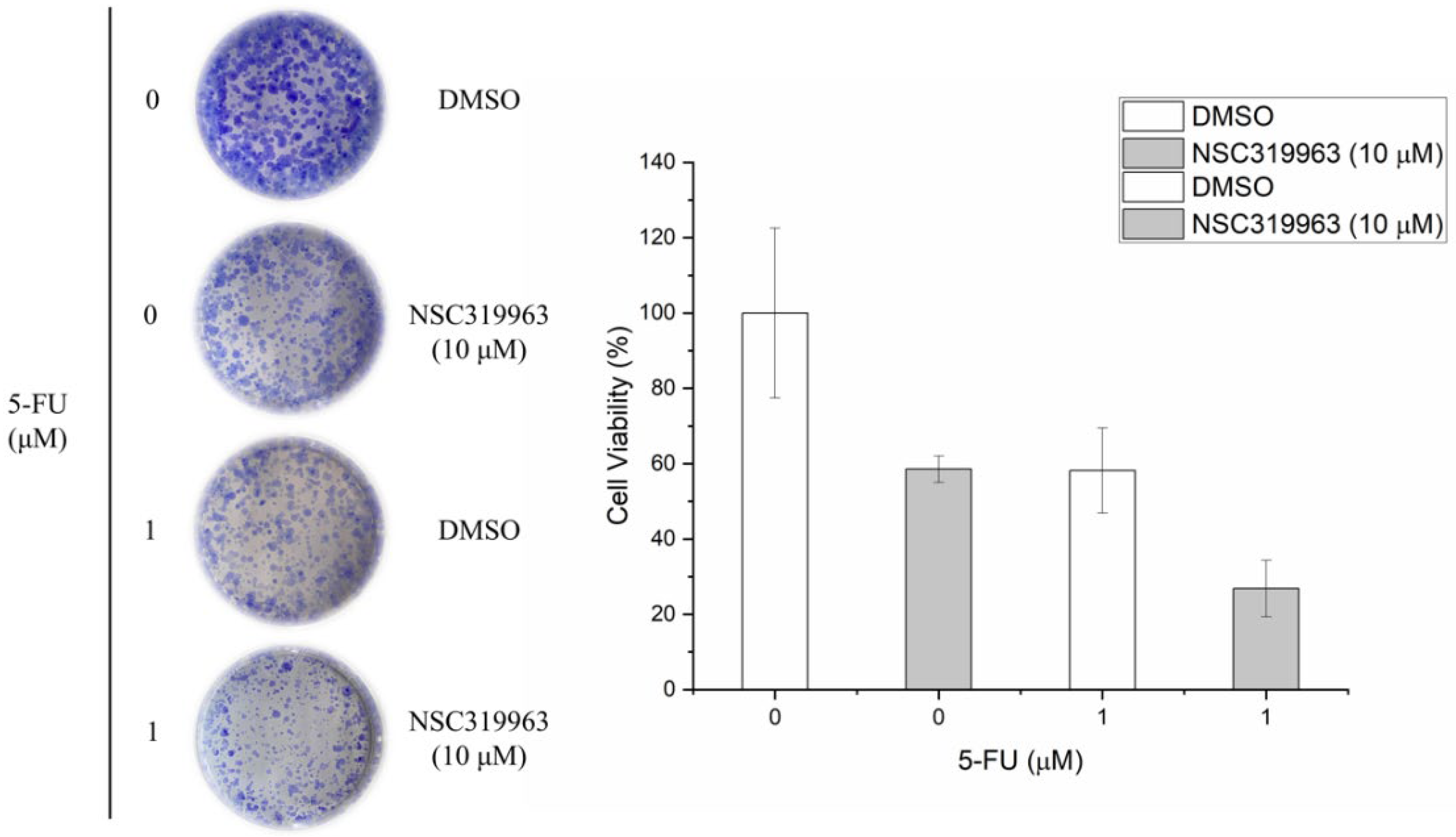 Biomedicines 10 00143 g009