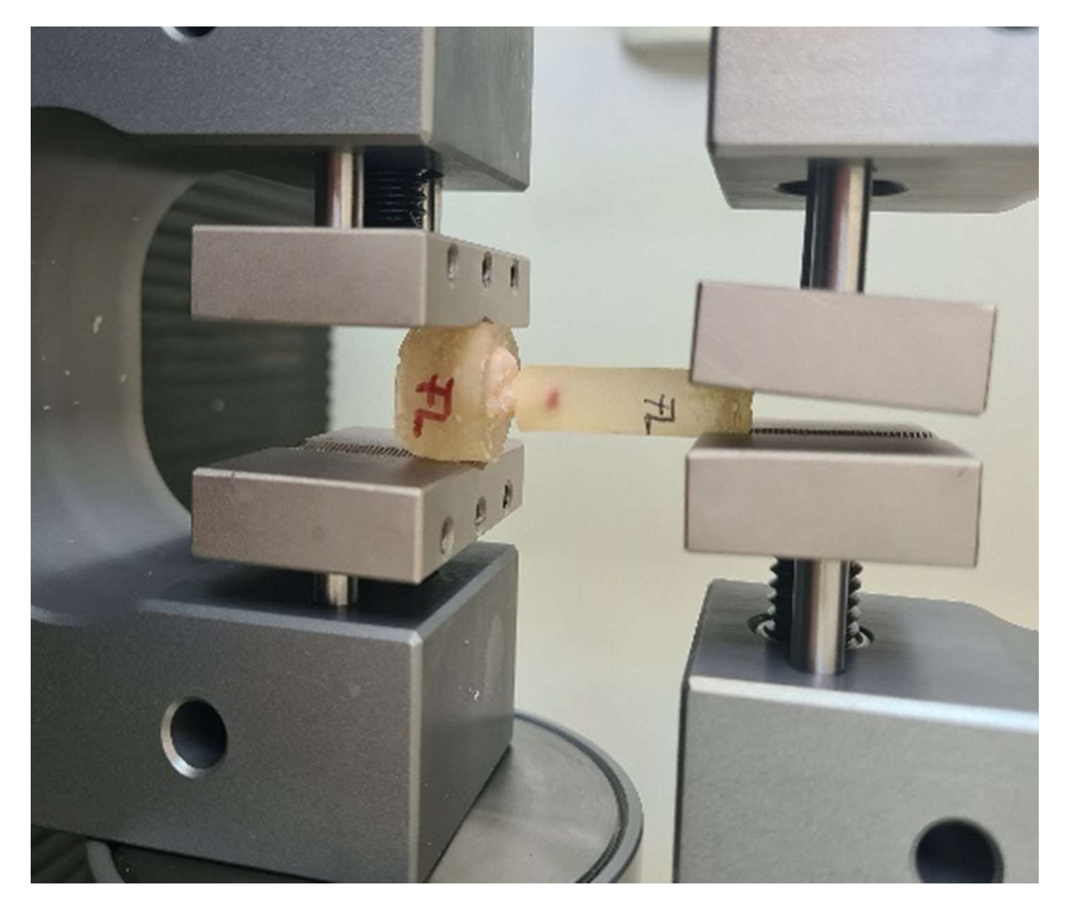 Biomedicines 10 00144 g001