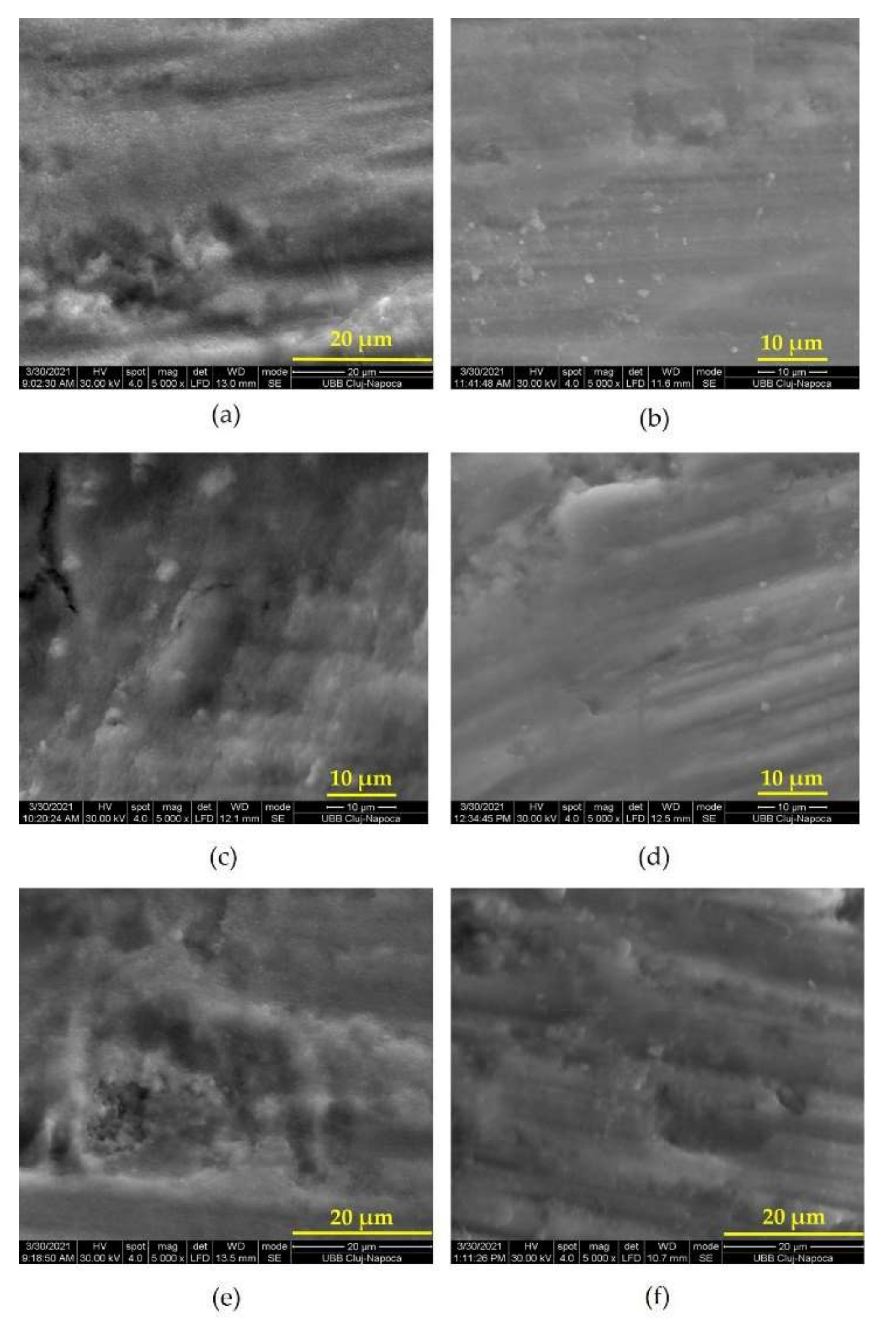 Biomedicines 10 00144 g002