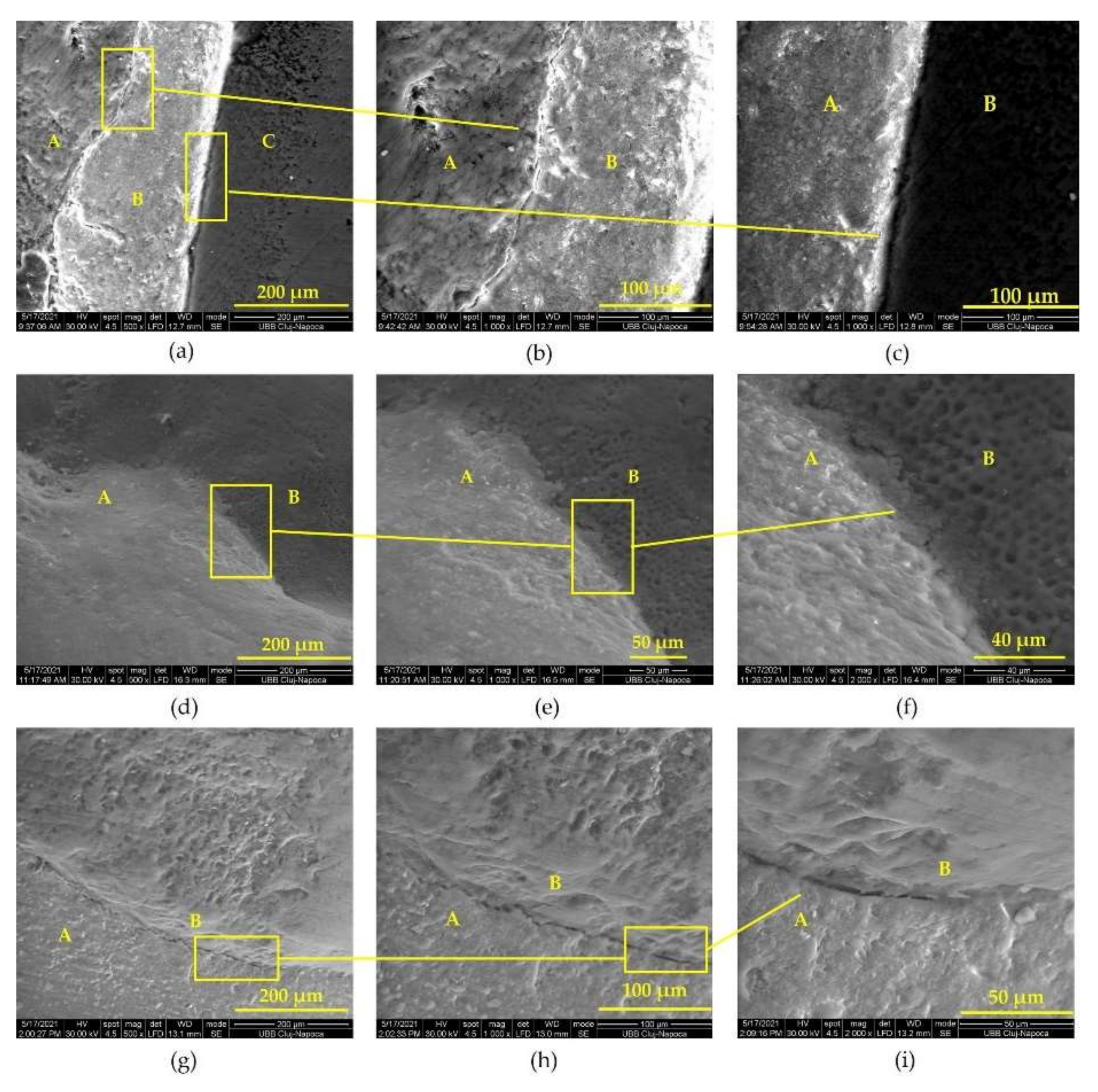 Biomedicines 10 00144 g003