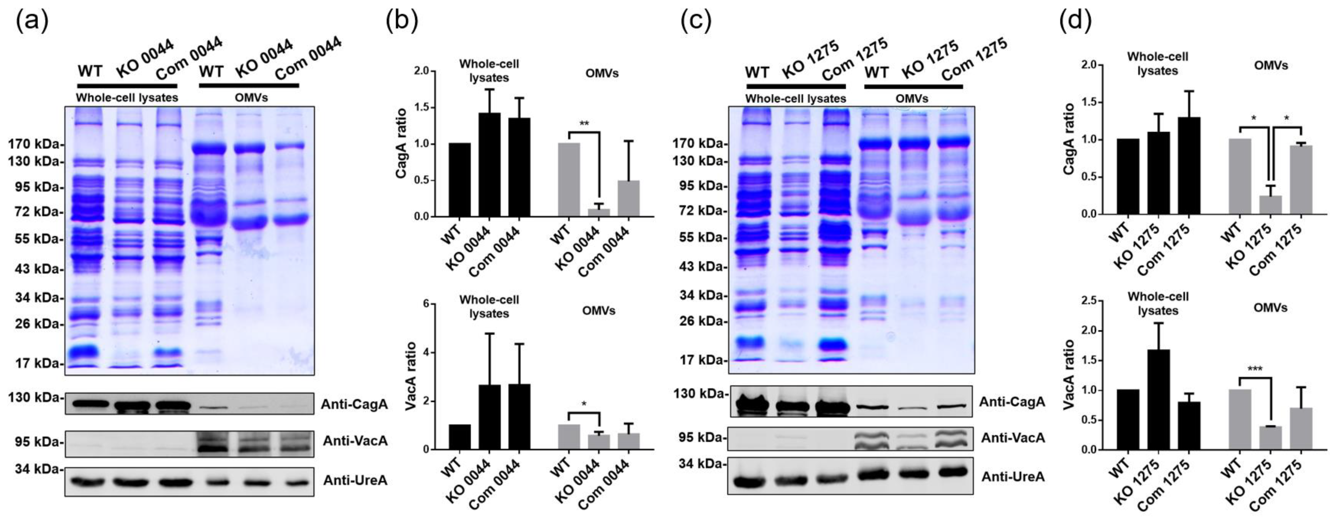 Biomedicines 10 00145 g007