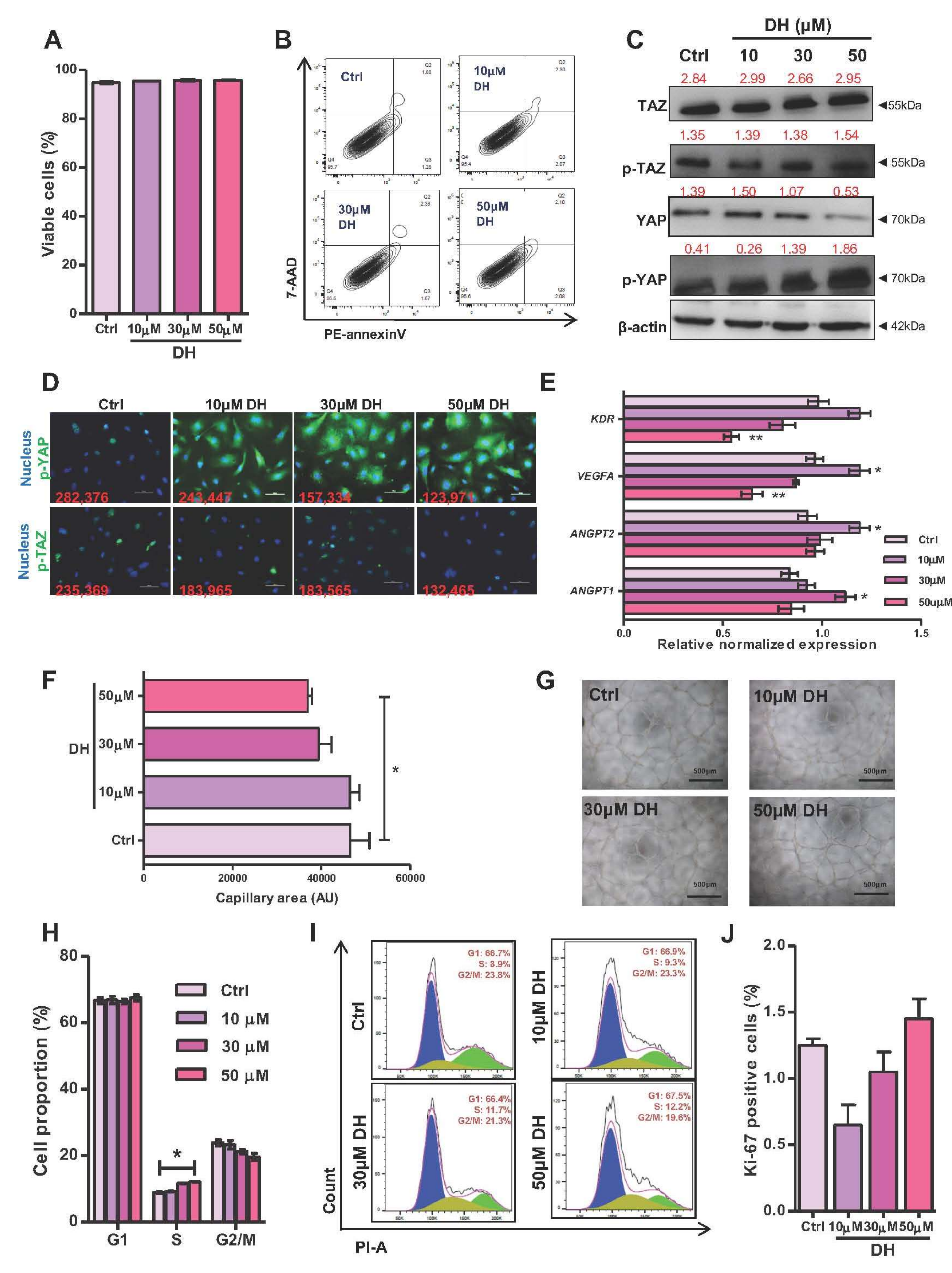 Biomedicines 10 00147 g001