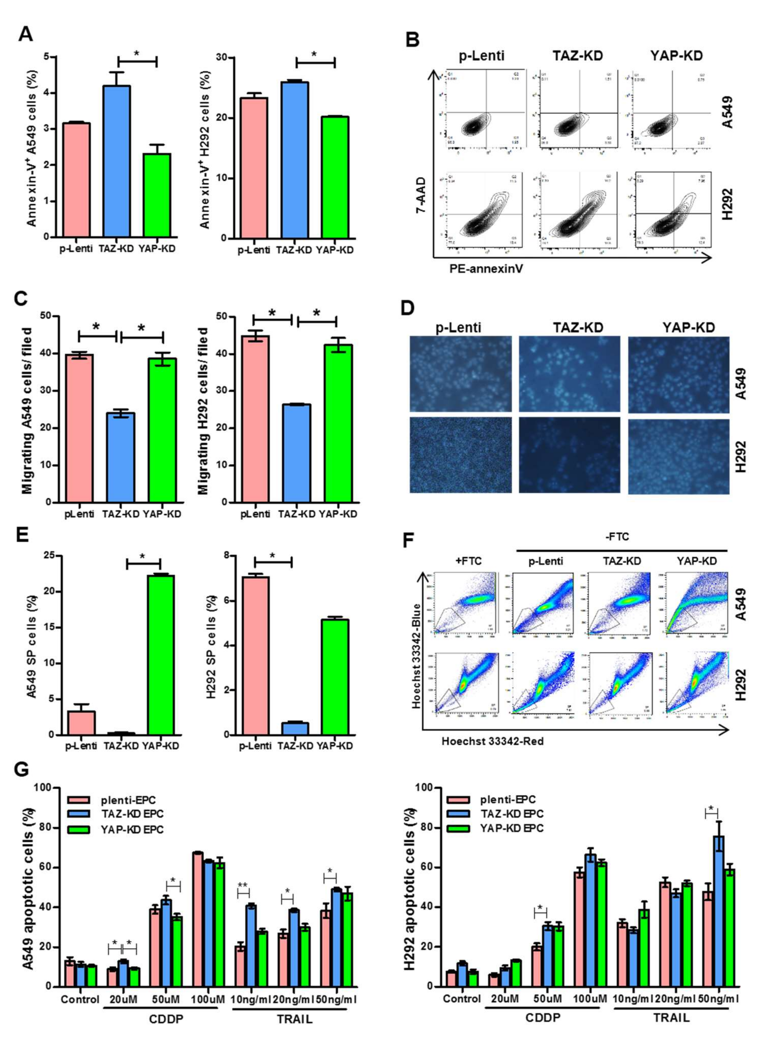 Biomedicines 10 00147 g005