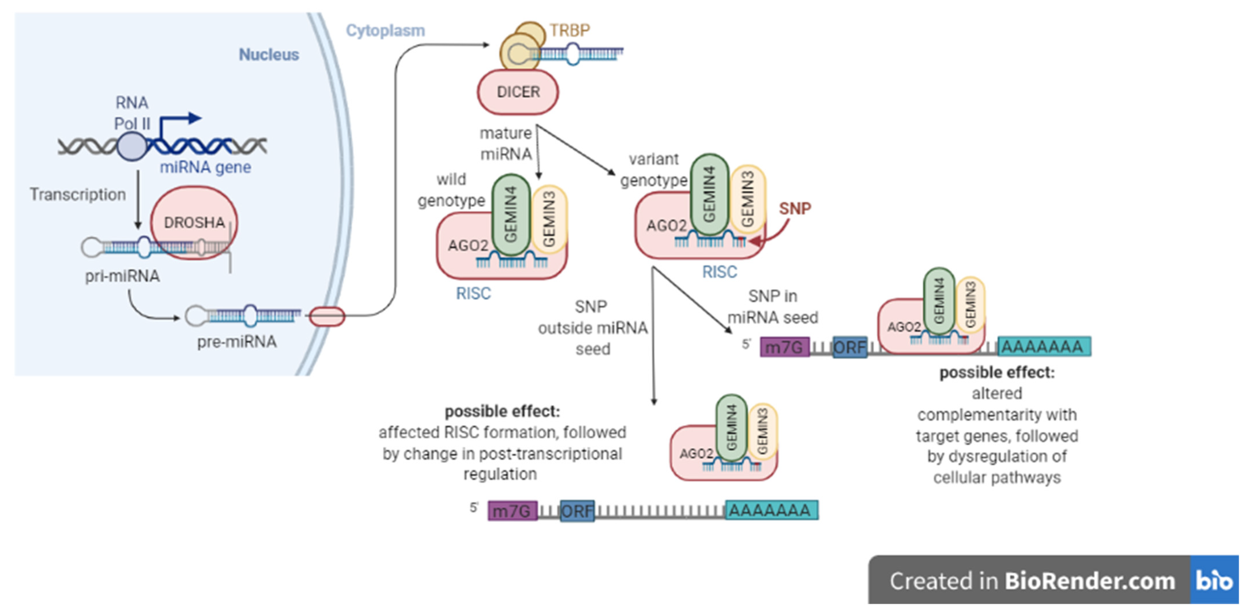 Biomedicines 10 00156 g001