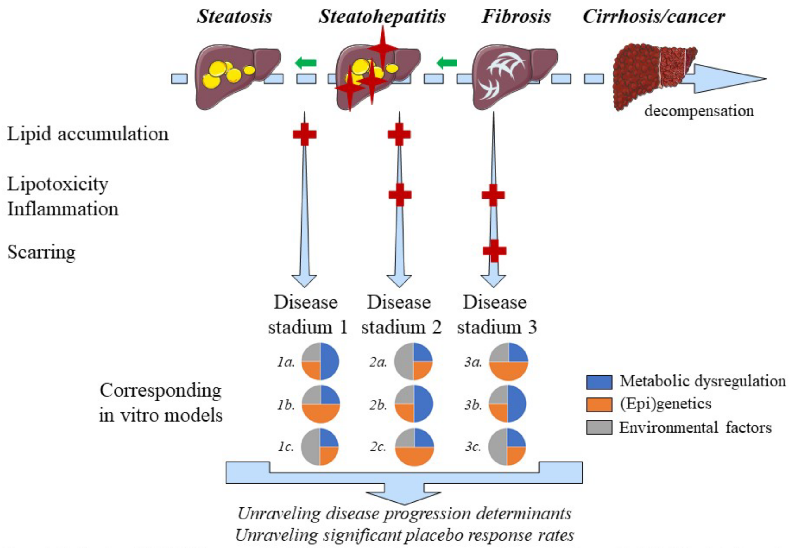 Biomedicines 10 00161 g002 Biomedicines 10 00161 g002