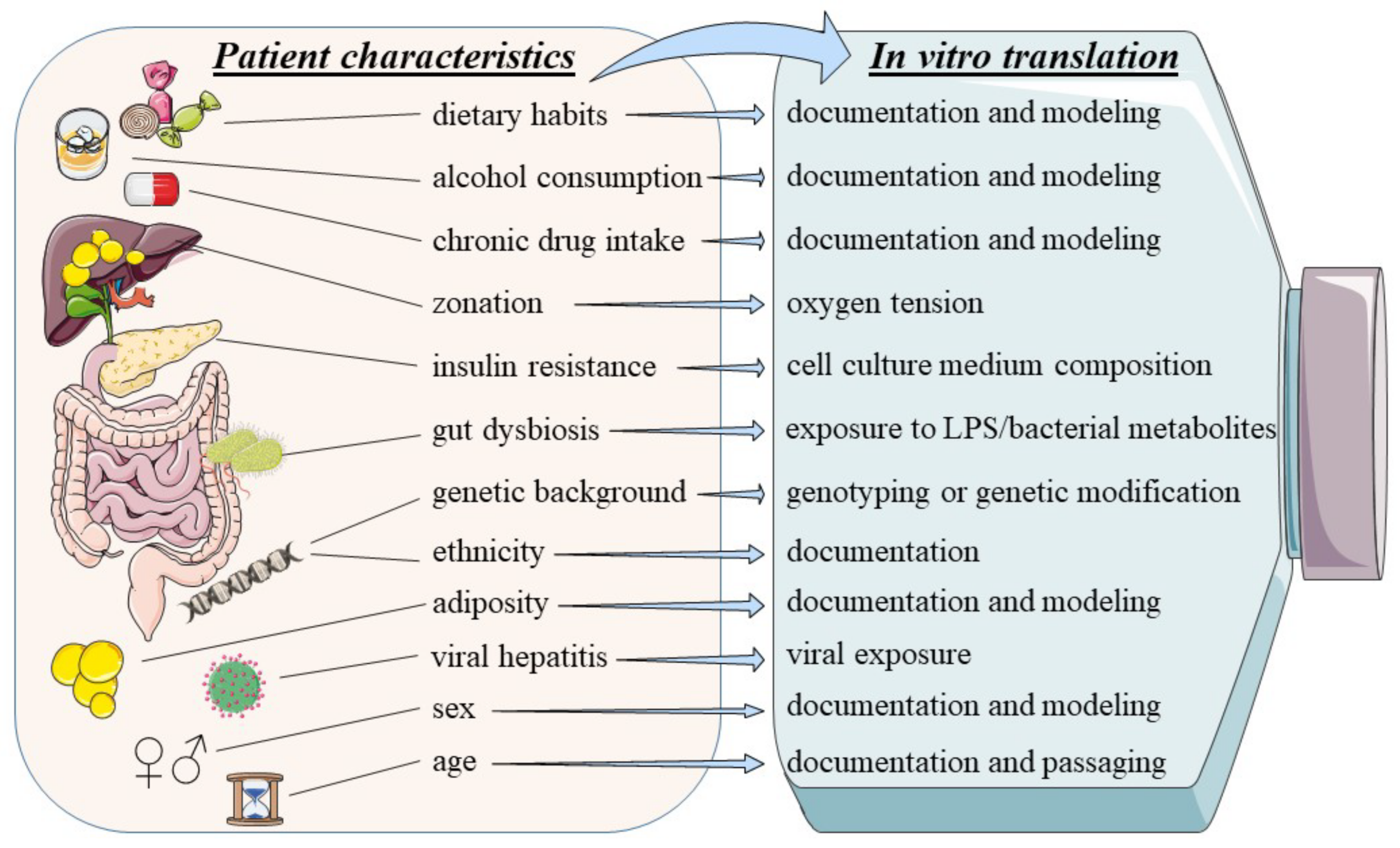 Biomedicines 10 00161 g003 Biomedicines 10 00161 g003