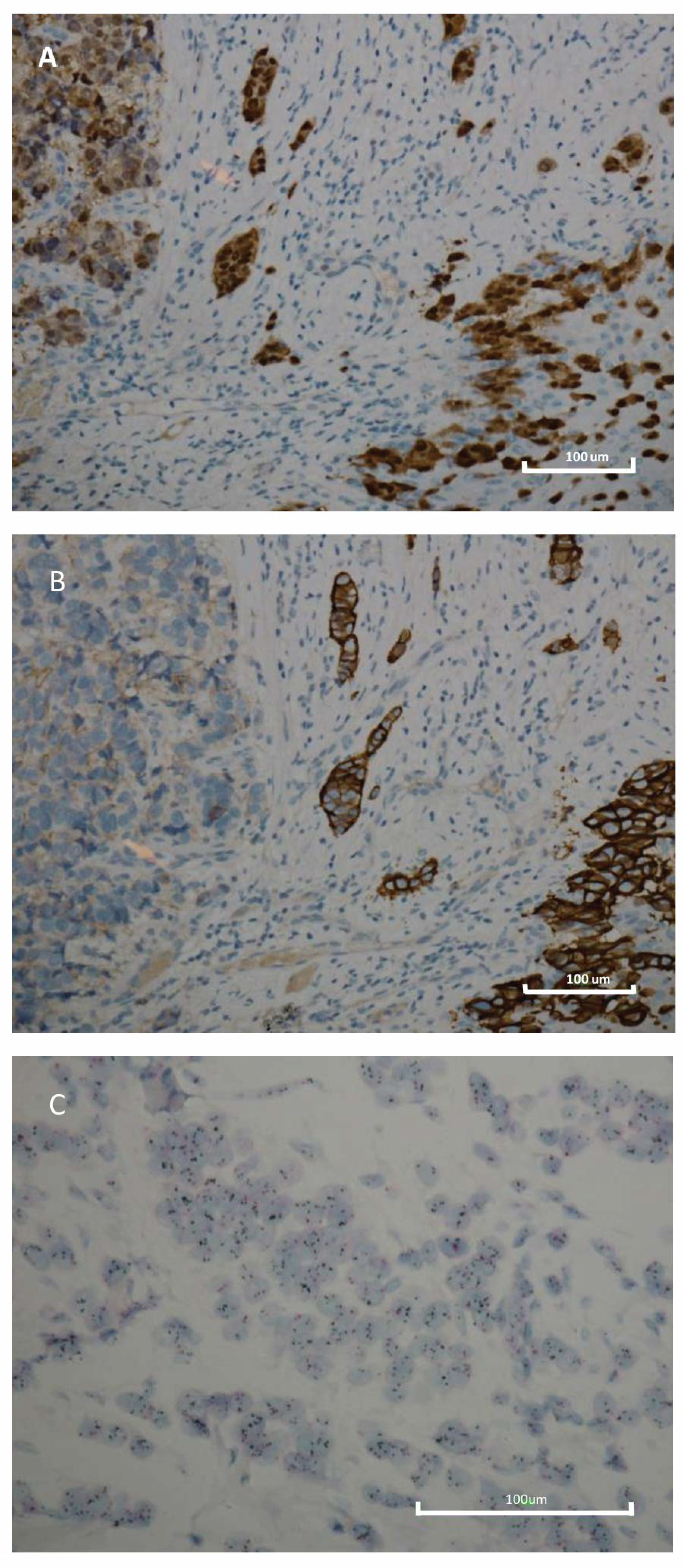Biomedicines 10 00164 g001