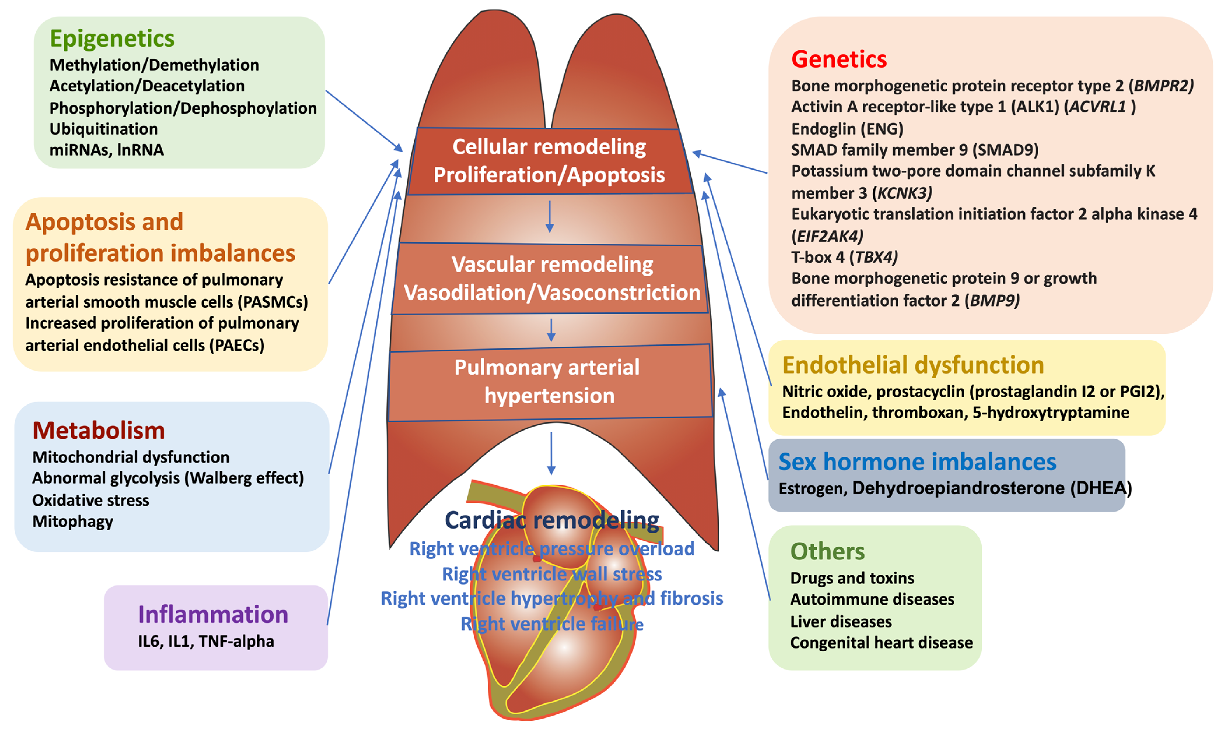 Biomedicines 10 00170 g001