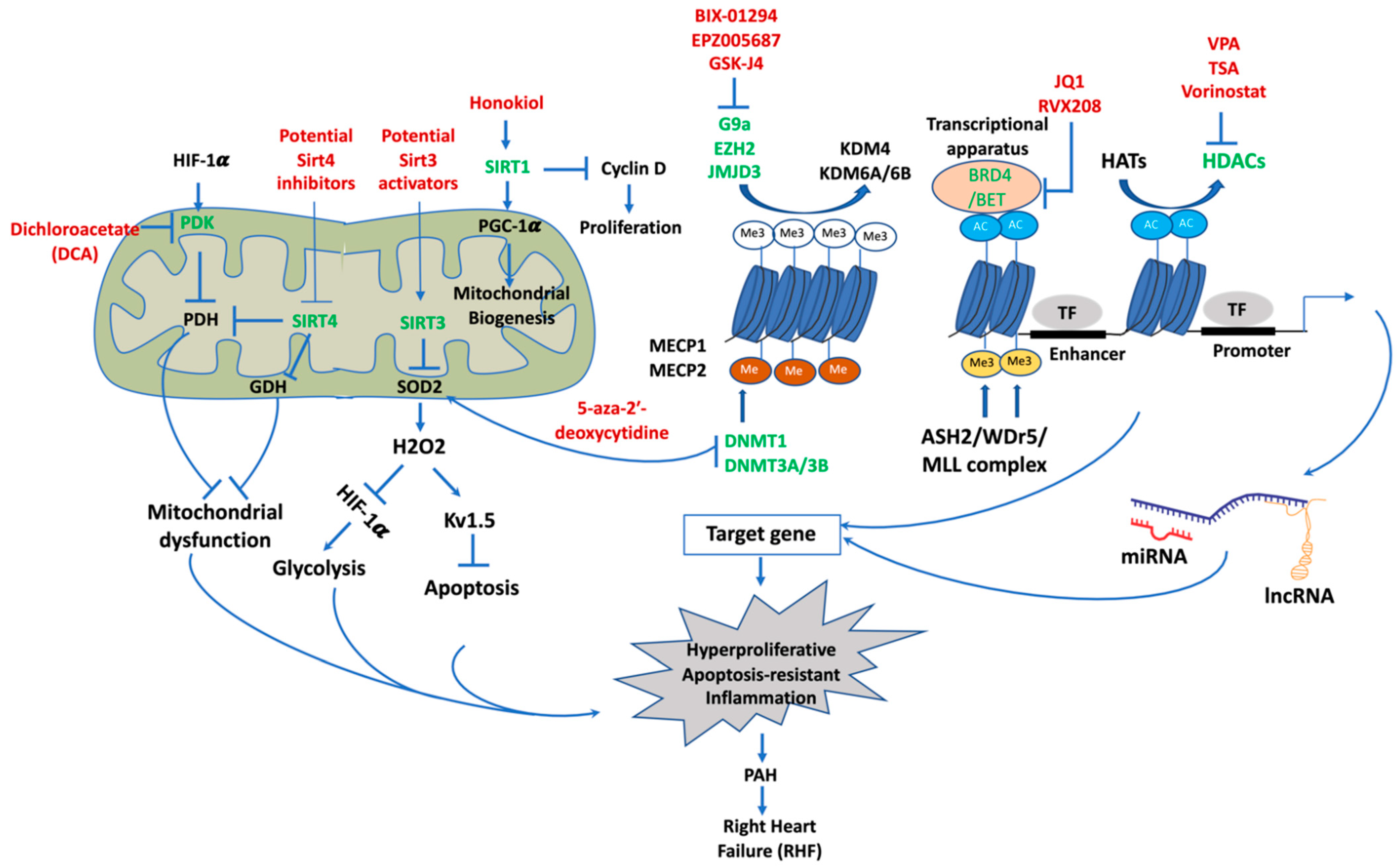 Biomedicines 10 00170 g003