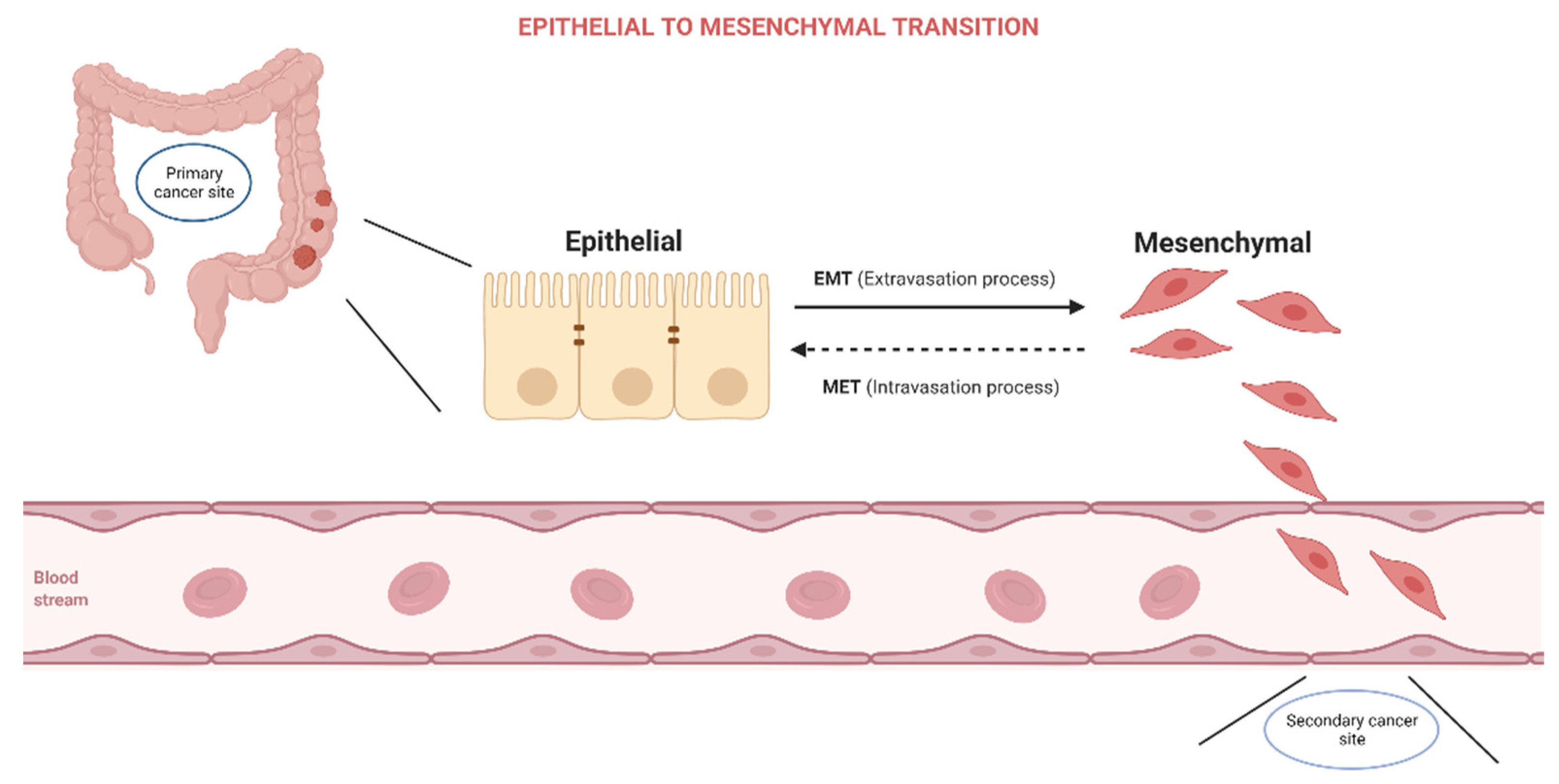 Biomedicines 10 00172 g001
