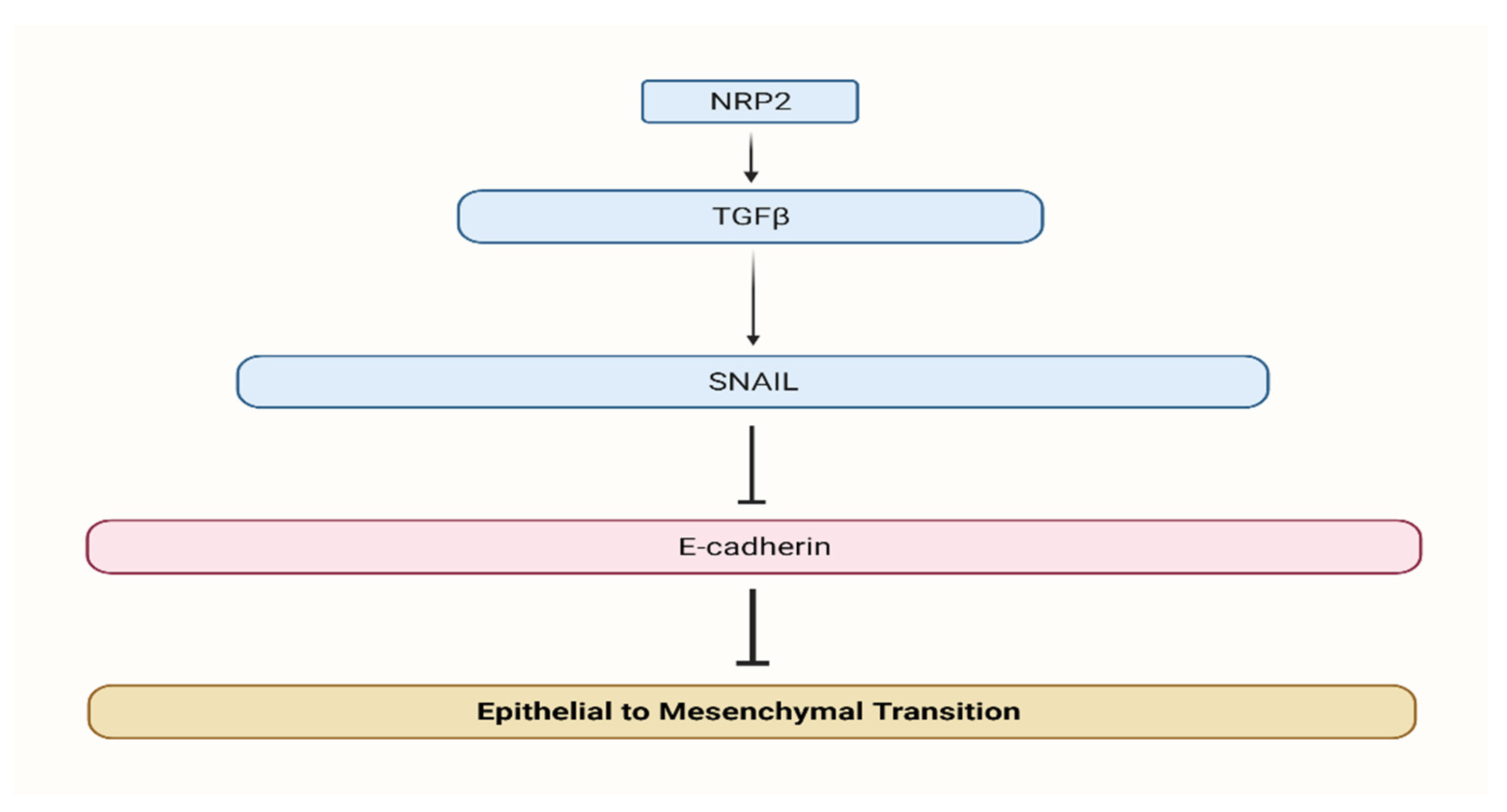 Biomedicines 10 00172 g002