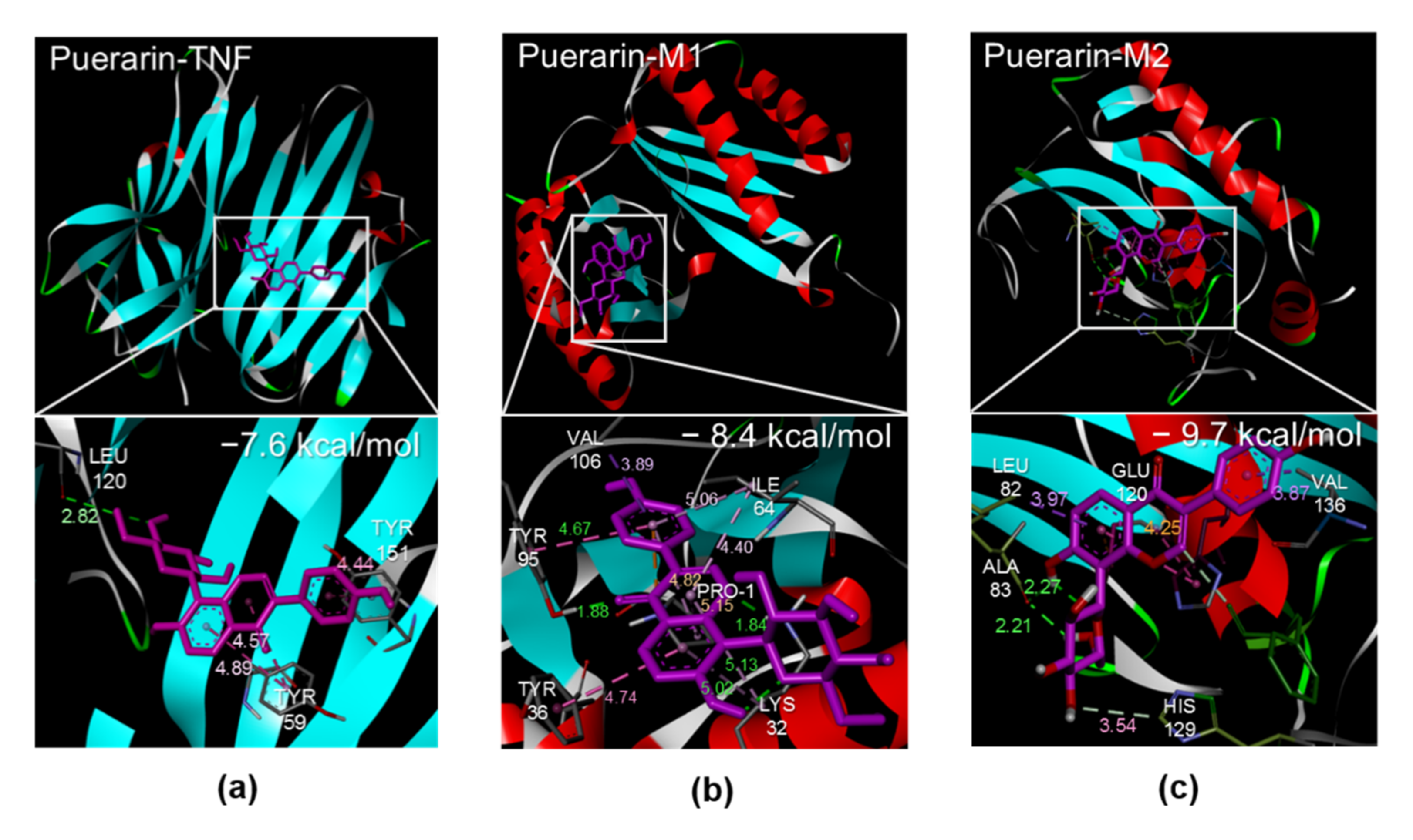 Biomedicines 10 00175 g002 550