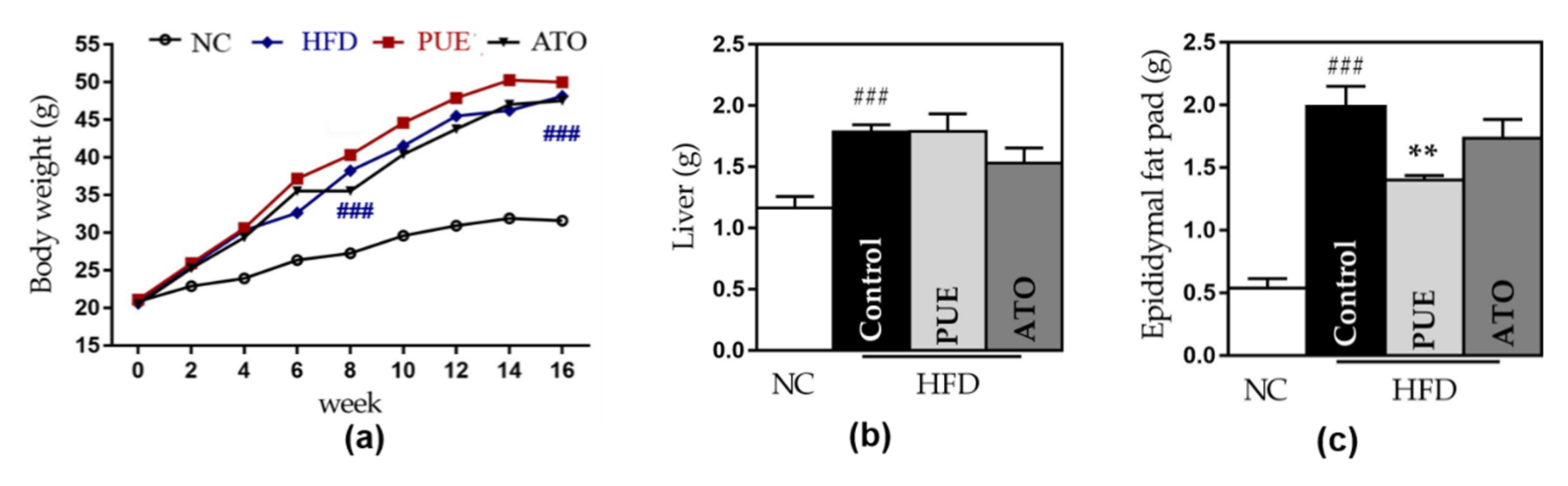 Biomedicines 10 00175 g003a 550