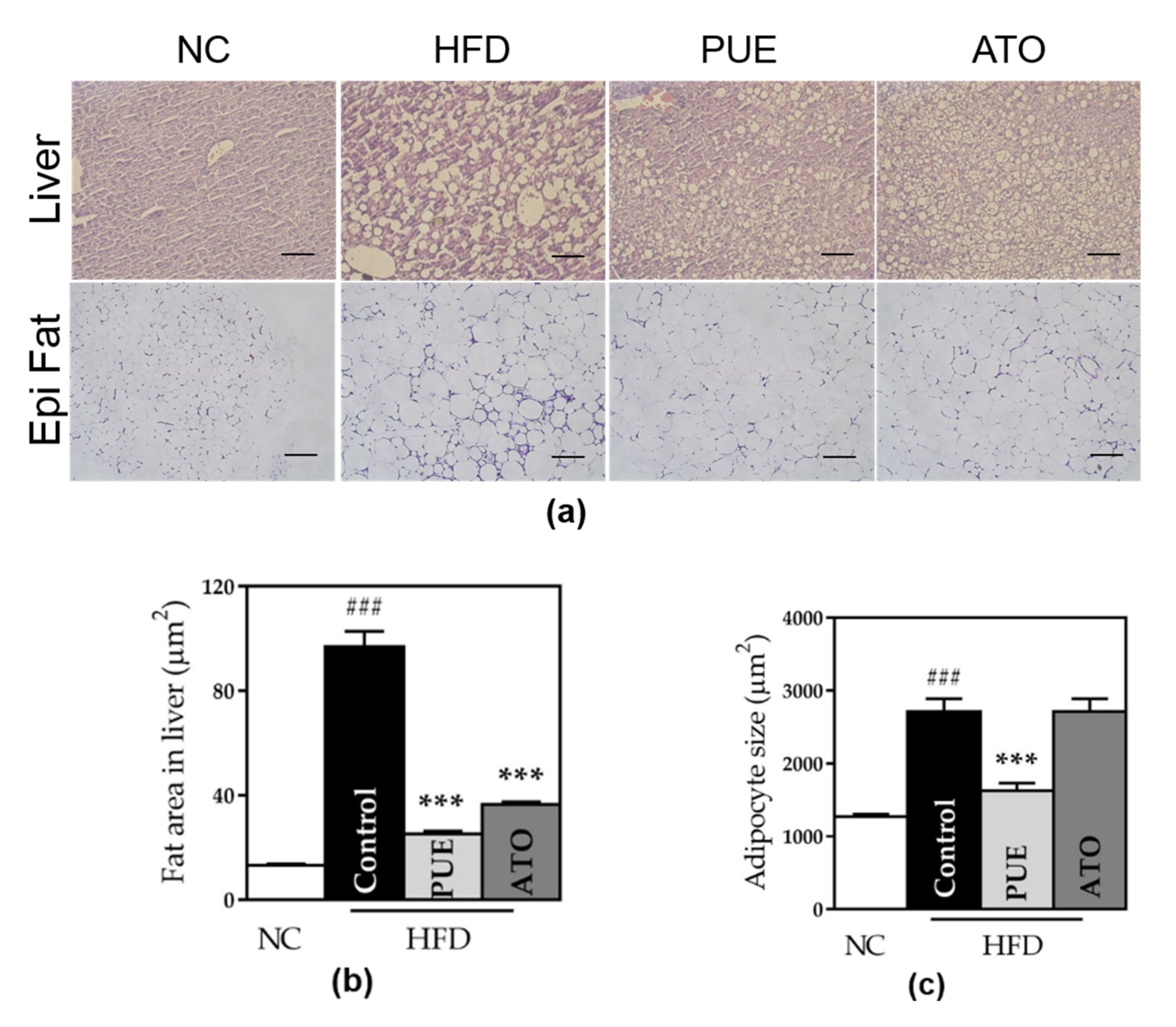 Biomedicines 10 00175 g007 550