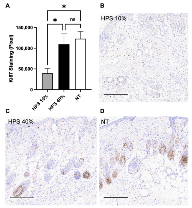 Biomedicines 10 00176 g004