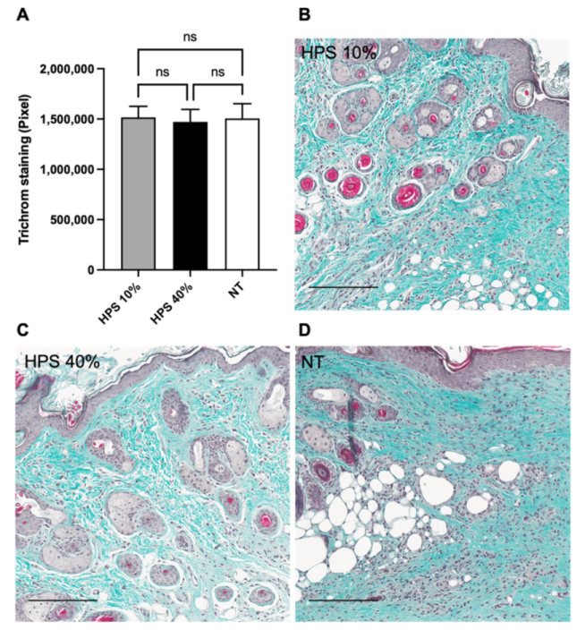 Biomedicines 10 00176 g005