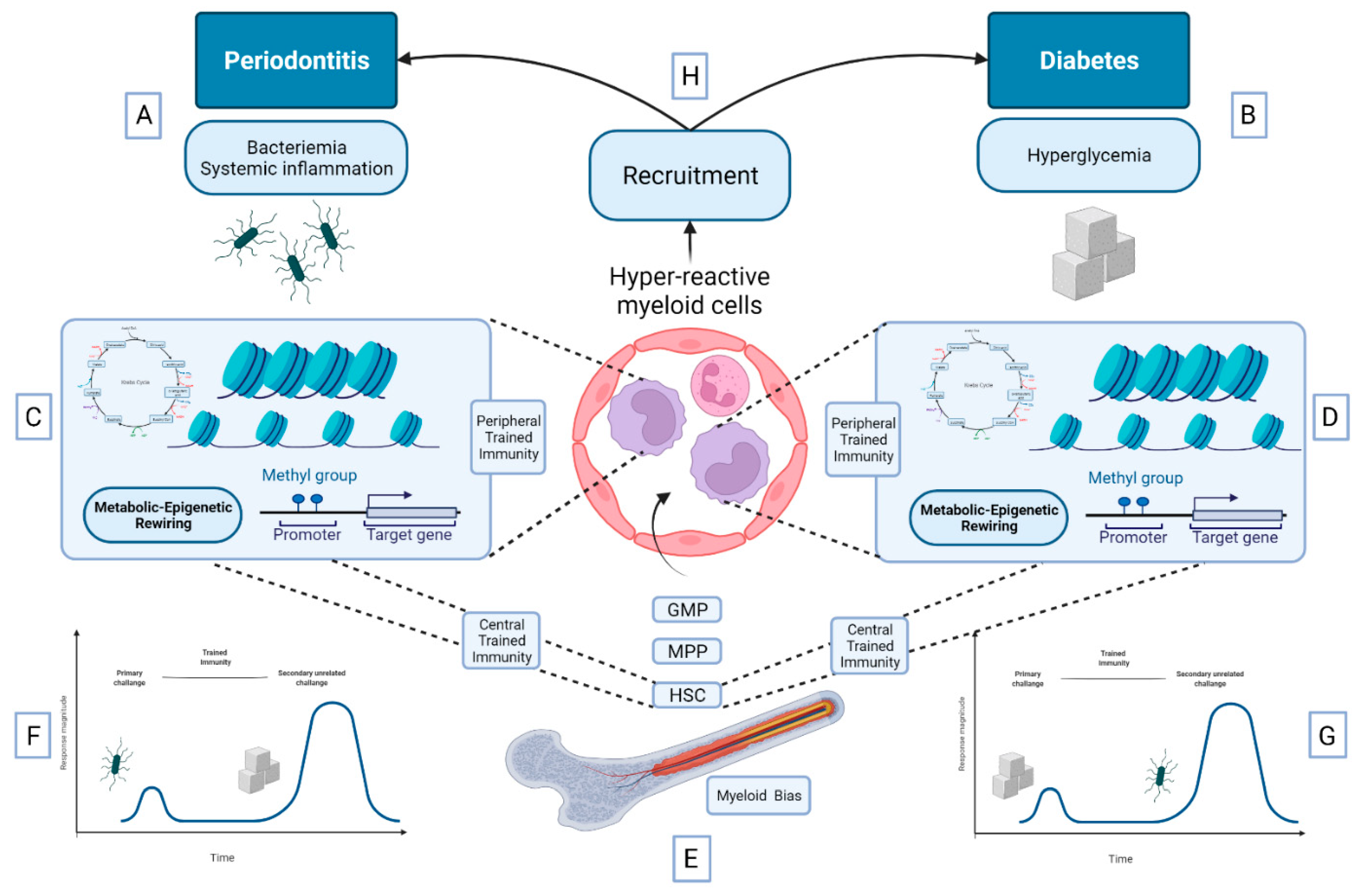 Biomedicines 10 00178 g002 Biomedicines 10 00178 g002