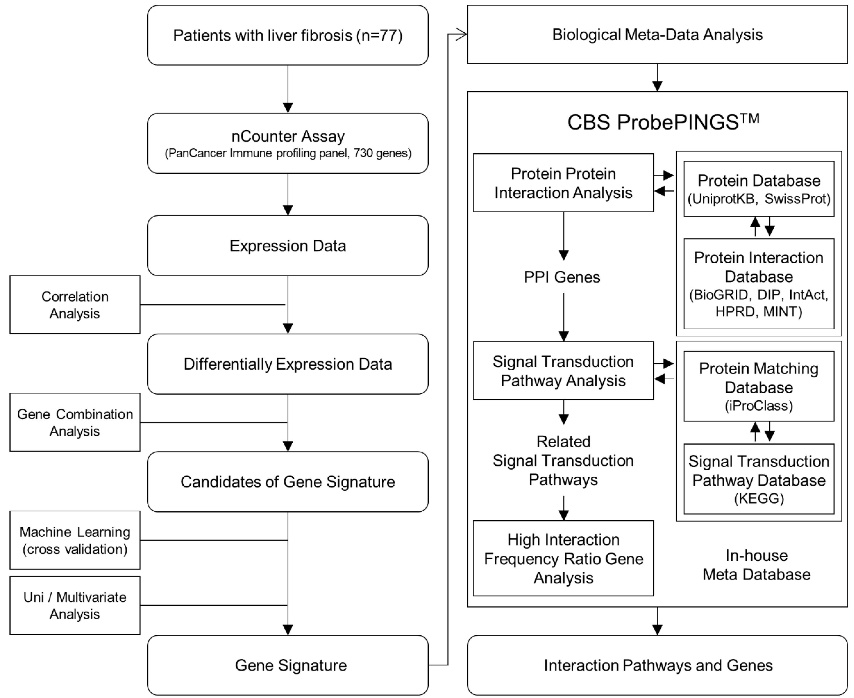 Biomedicines 10 00180 g001 550