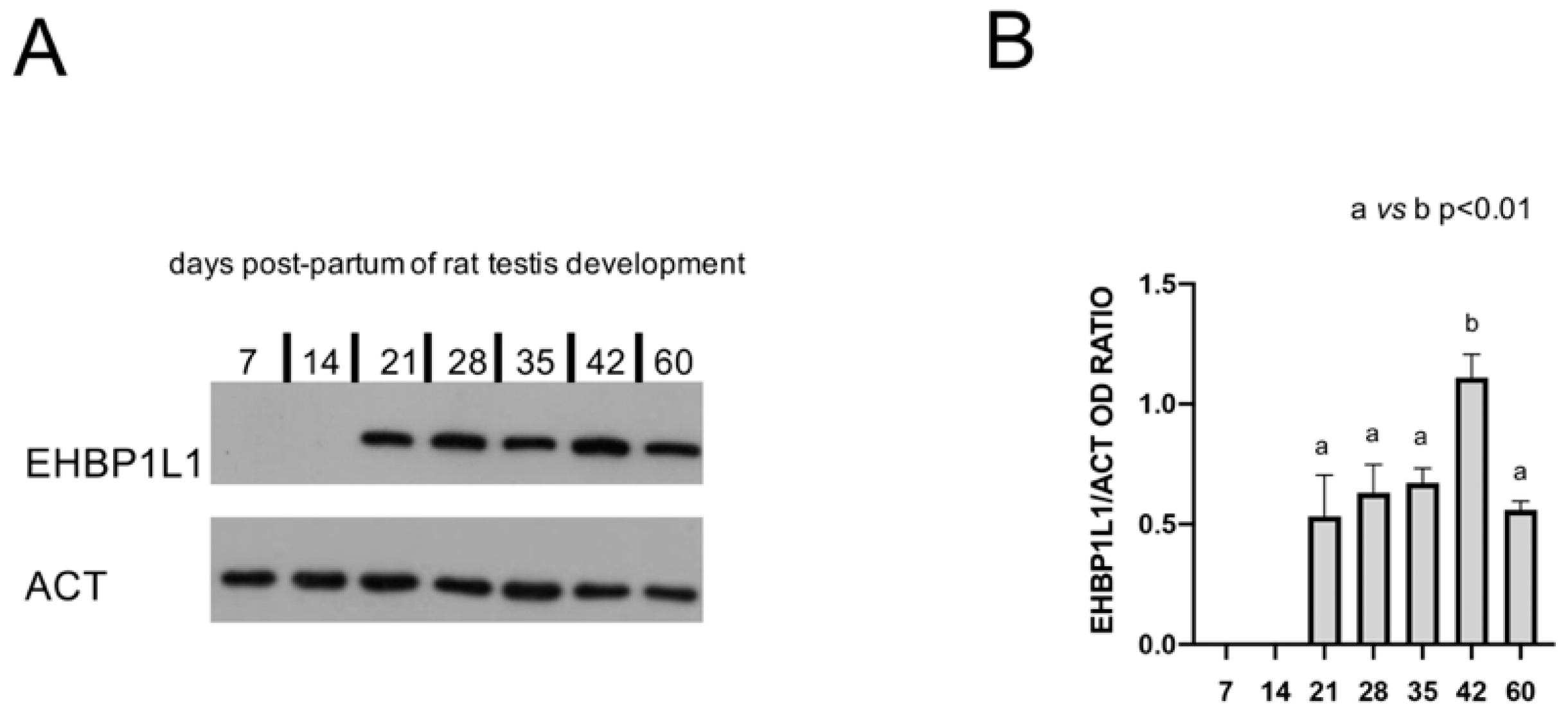 Biomedicines 10 00181 g001