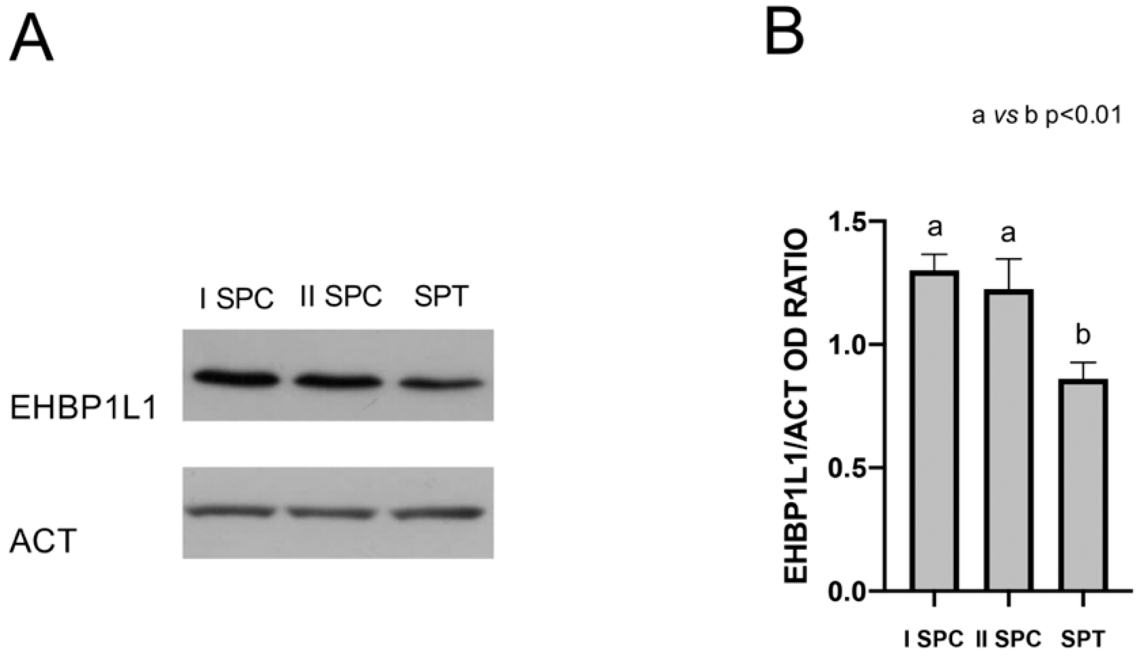 Biomedicines 10 00181 g009